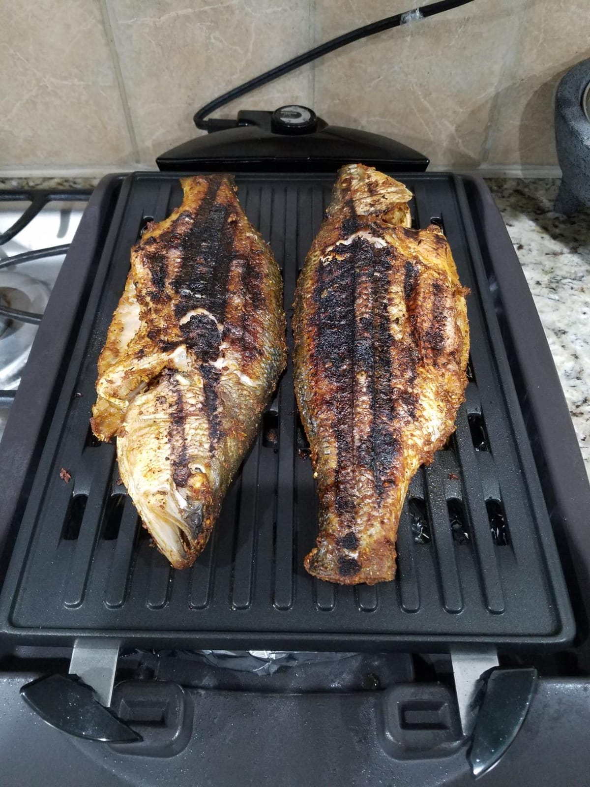 Zojirushi EB-CC15 Indoor Electric Grill customer photo 2