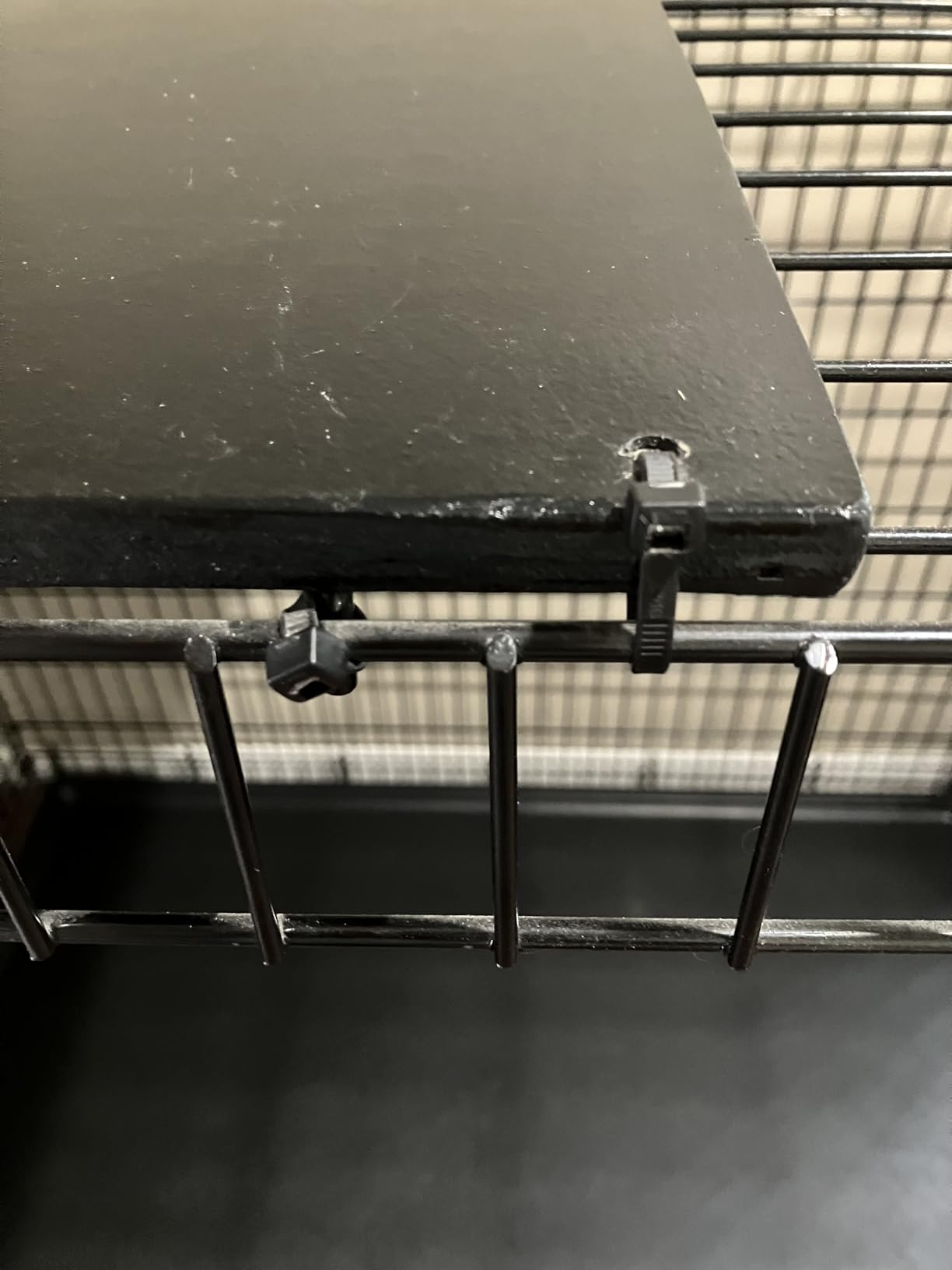 MidWest 48-Inch Double Door iCrate, for Extra-Large Breeds, 90-110 lbs customer photo 2