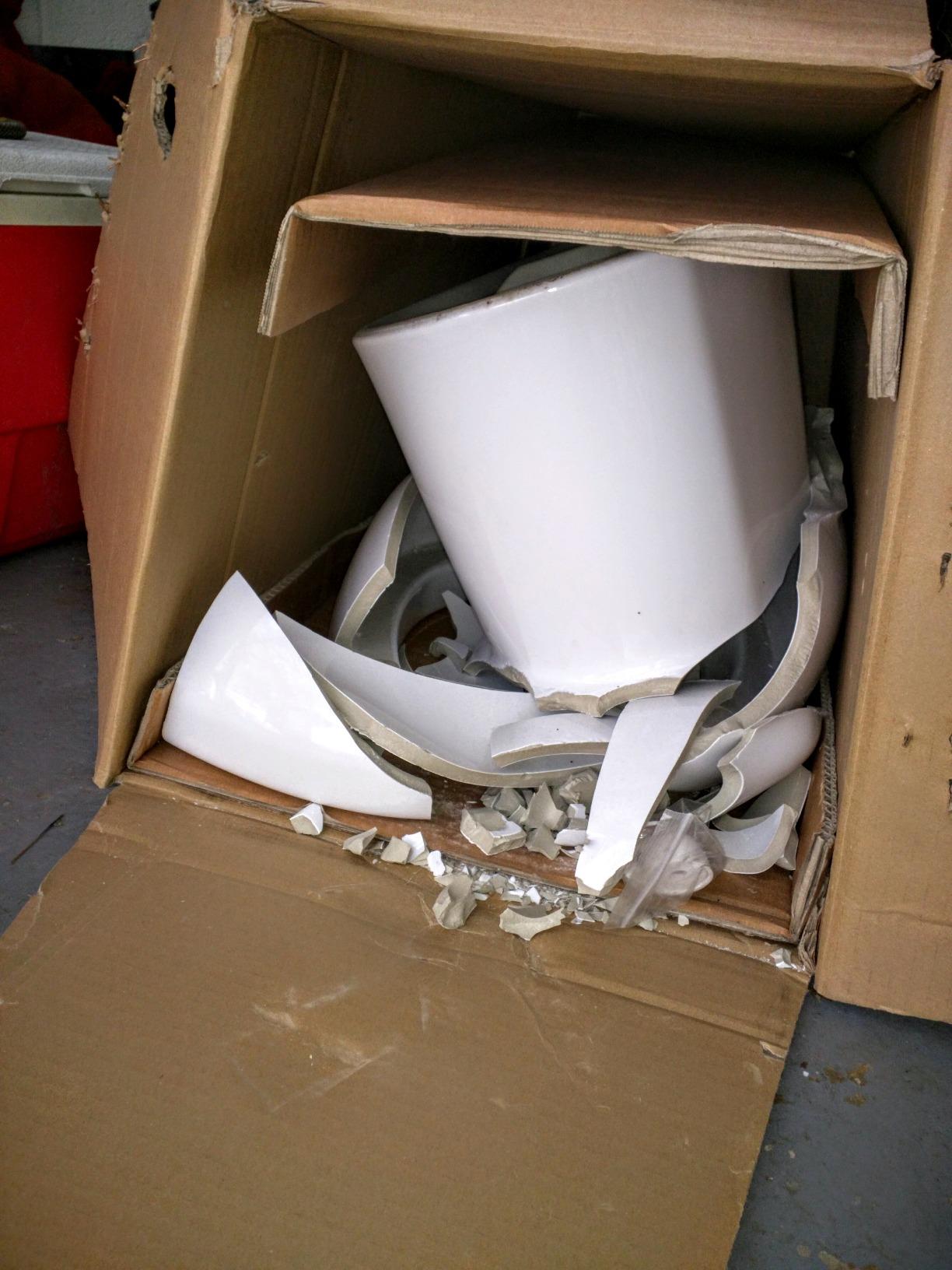 2887216.020 H2Option Dual Flush Elongated 1.0/1.6 gpf Toilet, White customer photo 1