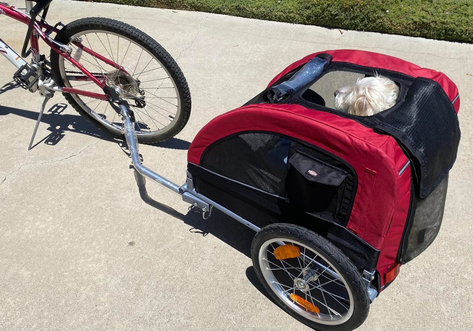 TRIXIE Dog Trailer for Bicycles, Dog Bike Trailer for Small Dogs up to 33 lbs, Quick Set-up and Fold Down, Red customer photo 1
