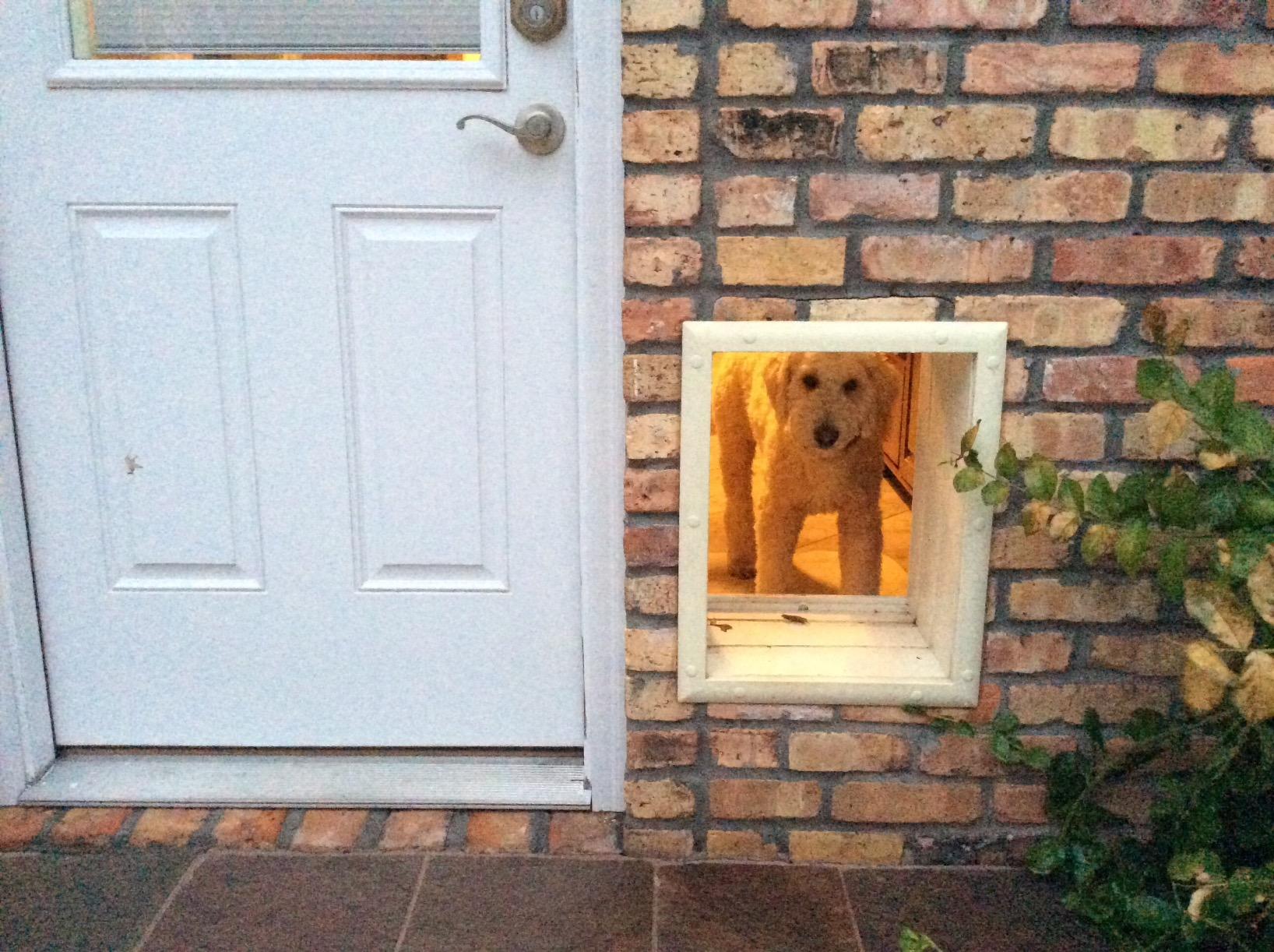 Genuine Power Pet Fully Automatic Pet Door from High Tech Pet Brand. Pet Collar Operated, 4 Way Access, Directional Sensing, Dead Bolt Lock, Air Tight, Quick, Quiet Operation customer photo 1