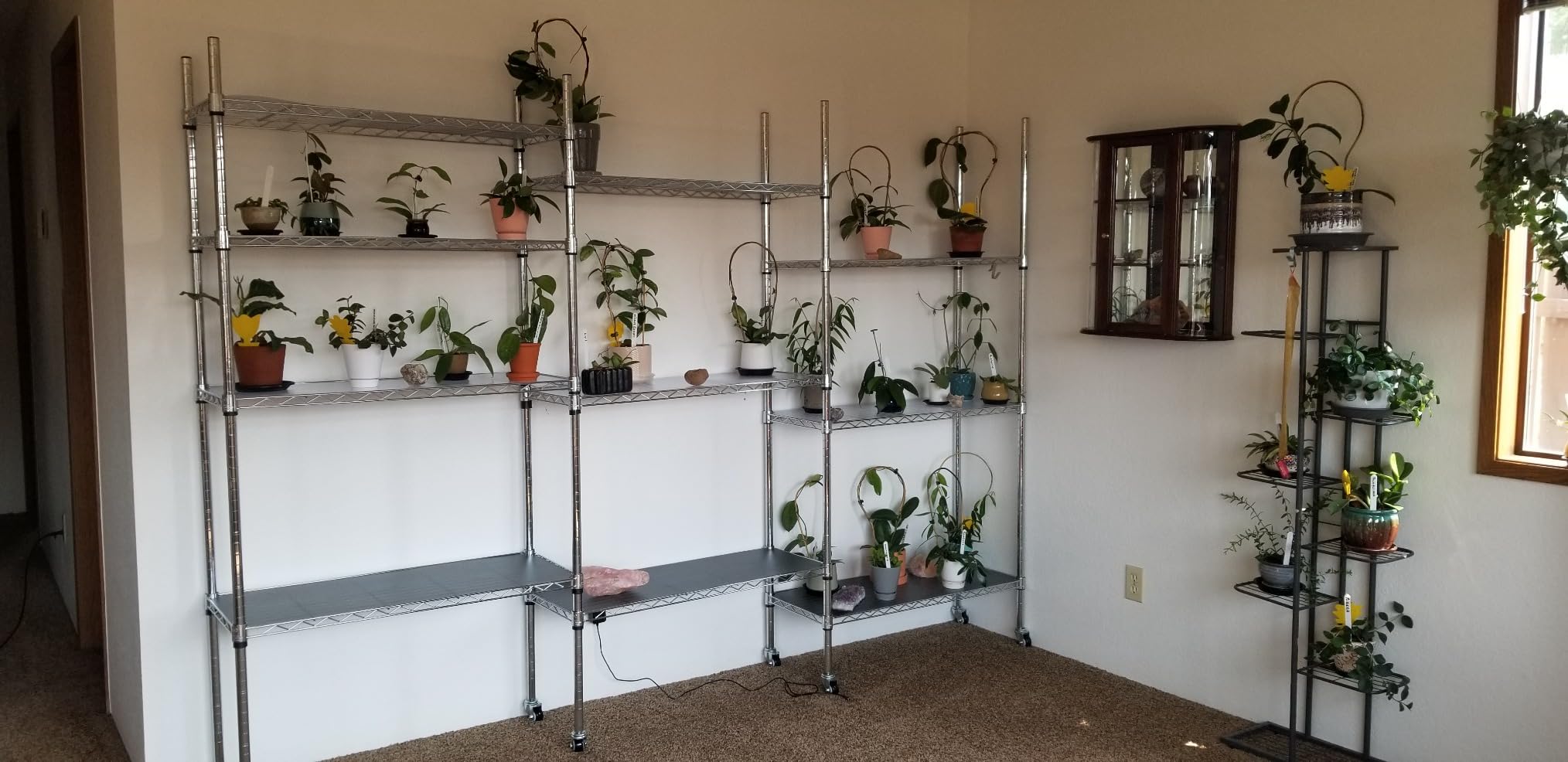 Whitmor 5 Tier Shelving Unit, Metal Storage Shelves, 400 lbs Capacity per Shelf, 2000 lbs Total, Adjustable Heavy Duty Shelf, Easy Assembly for Kitchen, Garage, Plant, 36
