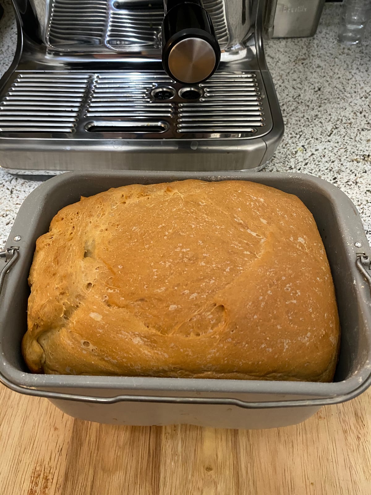 Breville BBM800XL Custom Loaf Bread Maker Machine, Brushed Stainless Steel | Control every detail | Collapsible kneading paddle prevents holes, custom crust settings, automatic fruit & nut dispenser customer photo 1