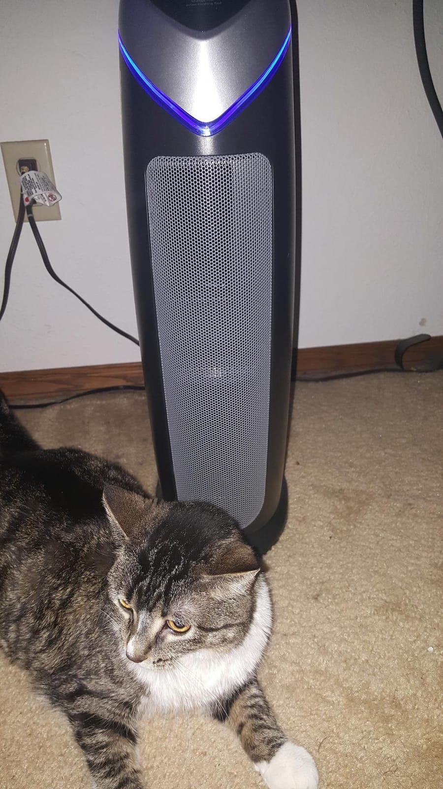 GermGuardian HEPA Air Purifier - Large Room Air Purifier for Bedroom, Office, Dorm, and Home - Filters Pet Dander, Dust, Pollen, Smoke, Scents - AC4825E - 22