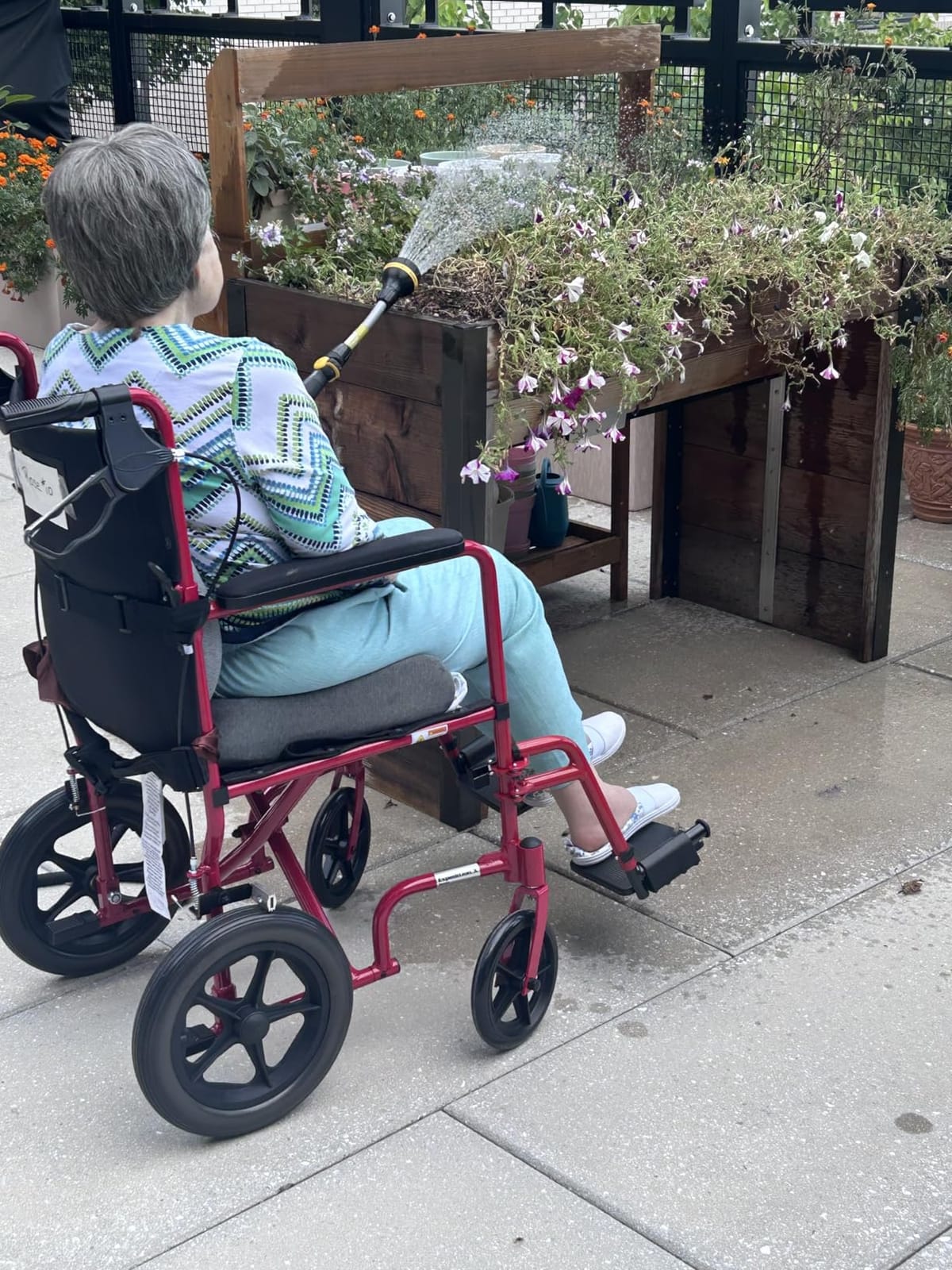 Drive Medical Lightweight Expedition Folding Transport Wheelchair, Blue | Folding Transport Wheelchair Features Hand Brakes, Large Rear Wheels and Compact Fold for Portable, Comfortable Support customer photo 1