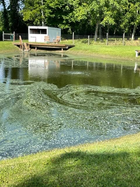 HIBLOW HP-80 Pond Aerator/ Septic Linear Air Pump customer photo 1