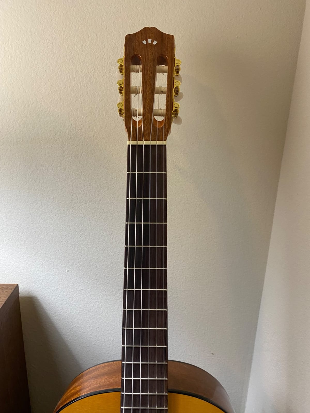 Cordoba C1 Nylon String Acoustic Guitar customer photo 1