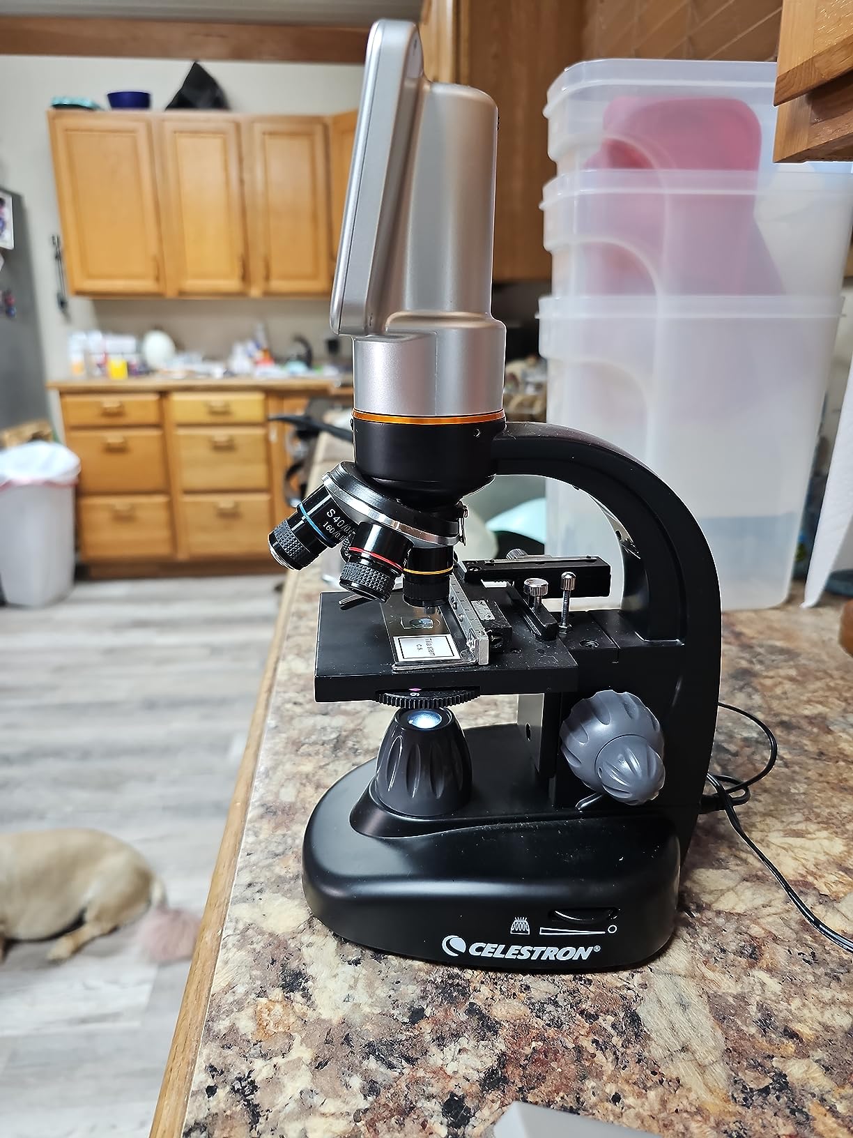 Celestron LCD Digital Microscope II - 3.5