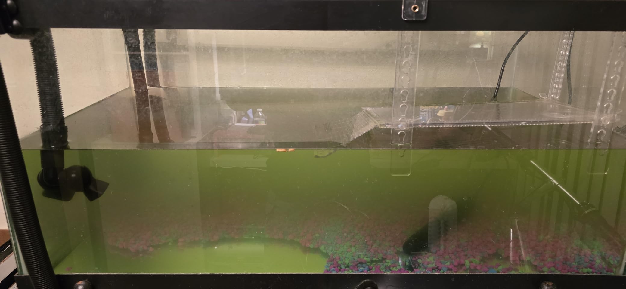 Fluval FX6 High Performance Aquarium Filter, up to 400 Gal. | Canister Filter for Aquariums customer photo 1