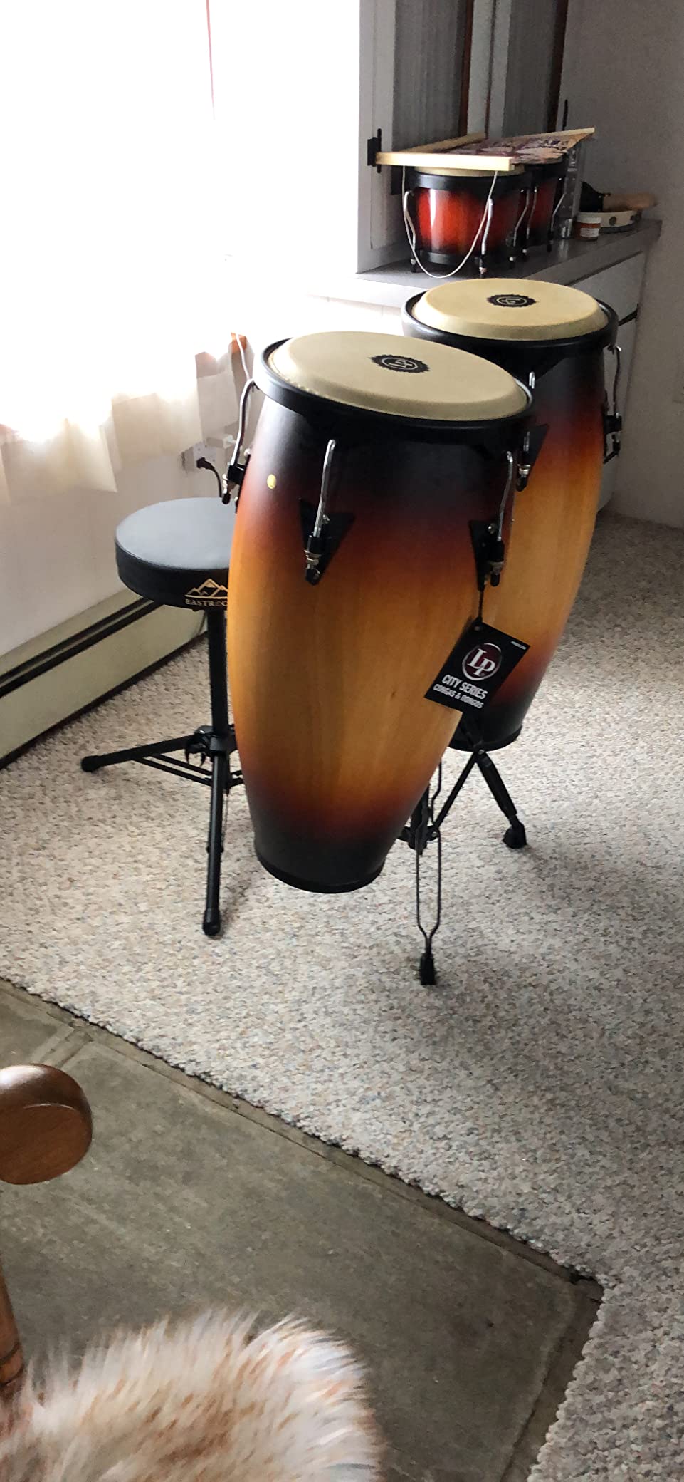 Latin Percussion LP City Wood Congas 10