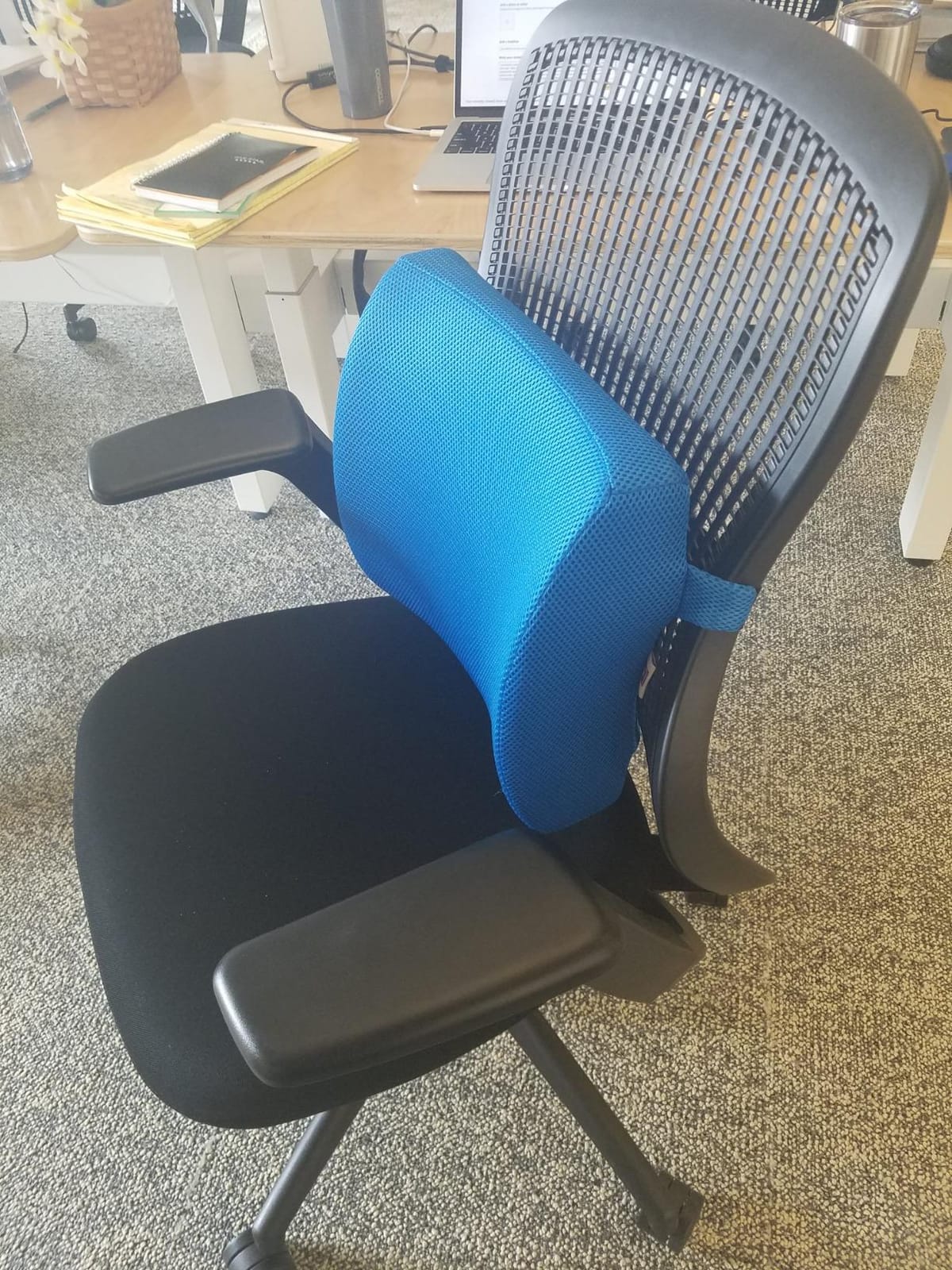 Lumbar Pillow for Chair and Car, Back Support for Office, Memory Foam Cushion with Mesh Cover - Black customer photo 2