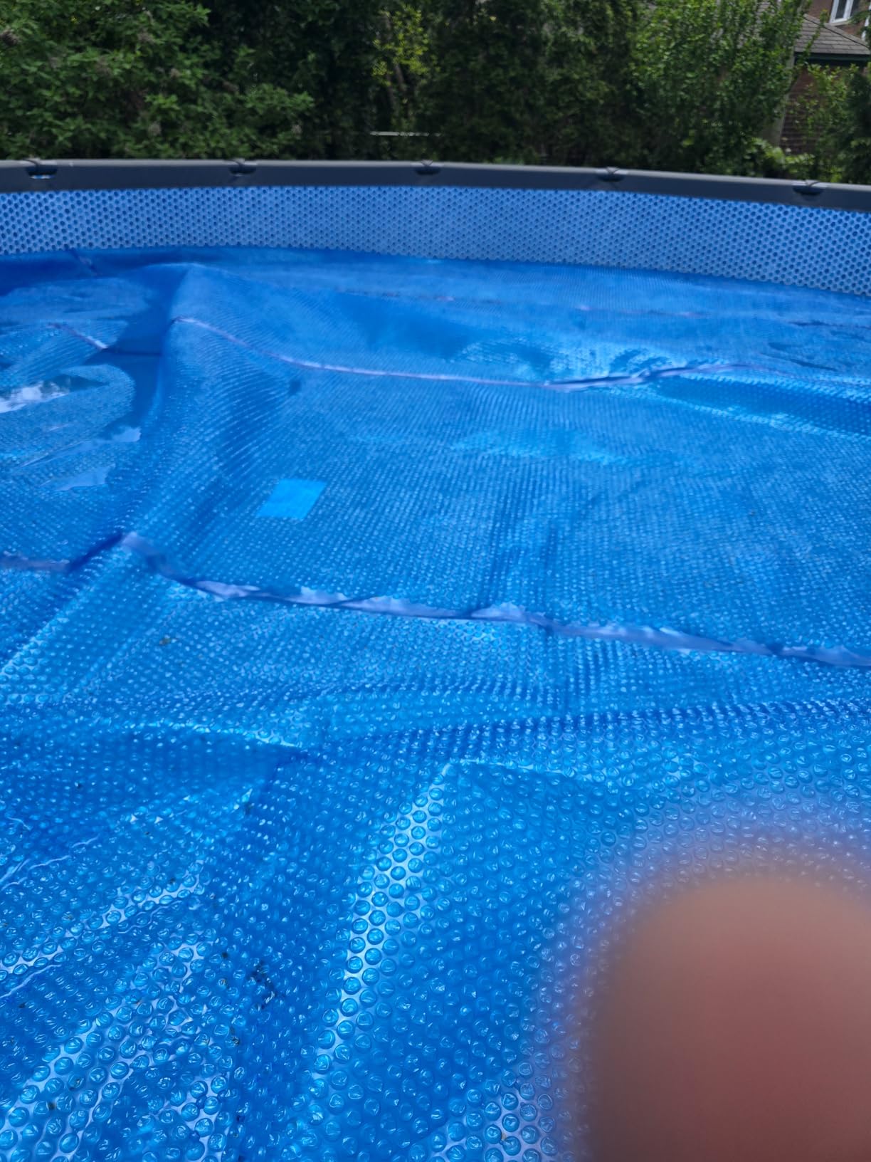 Sun2Solar Blue 24 ft Round Pool Solar Cover | 12 Mil | Heat Retaining | Thermal Blanket for Inground & Above Ground Swimming Pools | Sun's Energy Heats Pool | Bubble Heating Blankets | 1200 Series customer photo 1