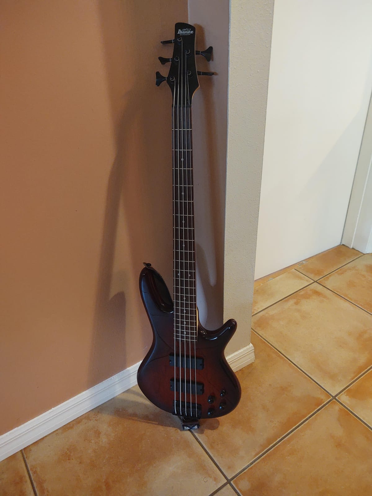 Ibanez GSR205BWNF GIO - Walnut Flat (5-string) customer photo 2