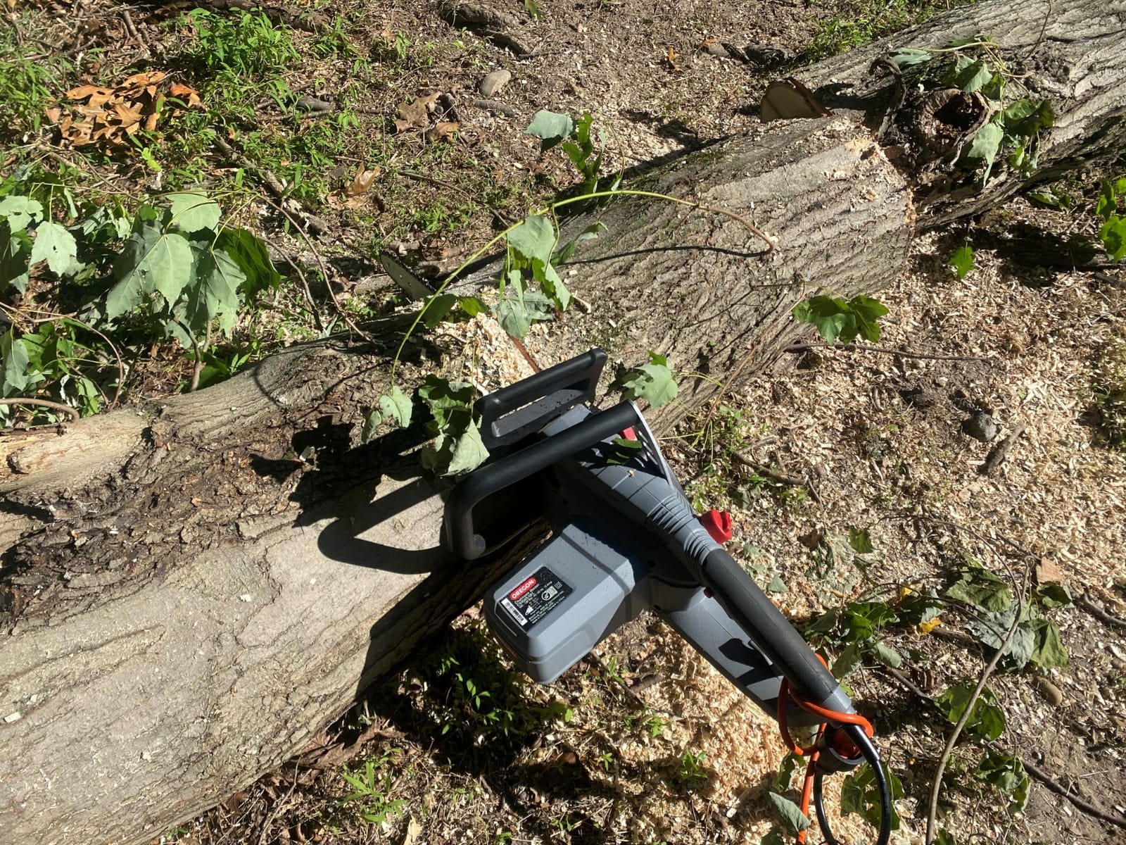 Oregon CS1500 Self-Sharpening Electric Chain Saw | Powerful, 15 Amp, Low Kickback, Self-Sharpening Integrated PowerSharp Chain, Automatic Oiler, 2-Year Warranty customer photo 2