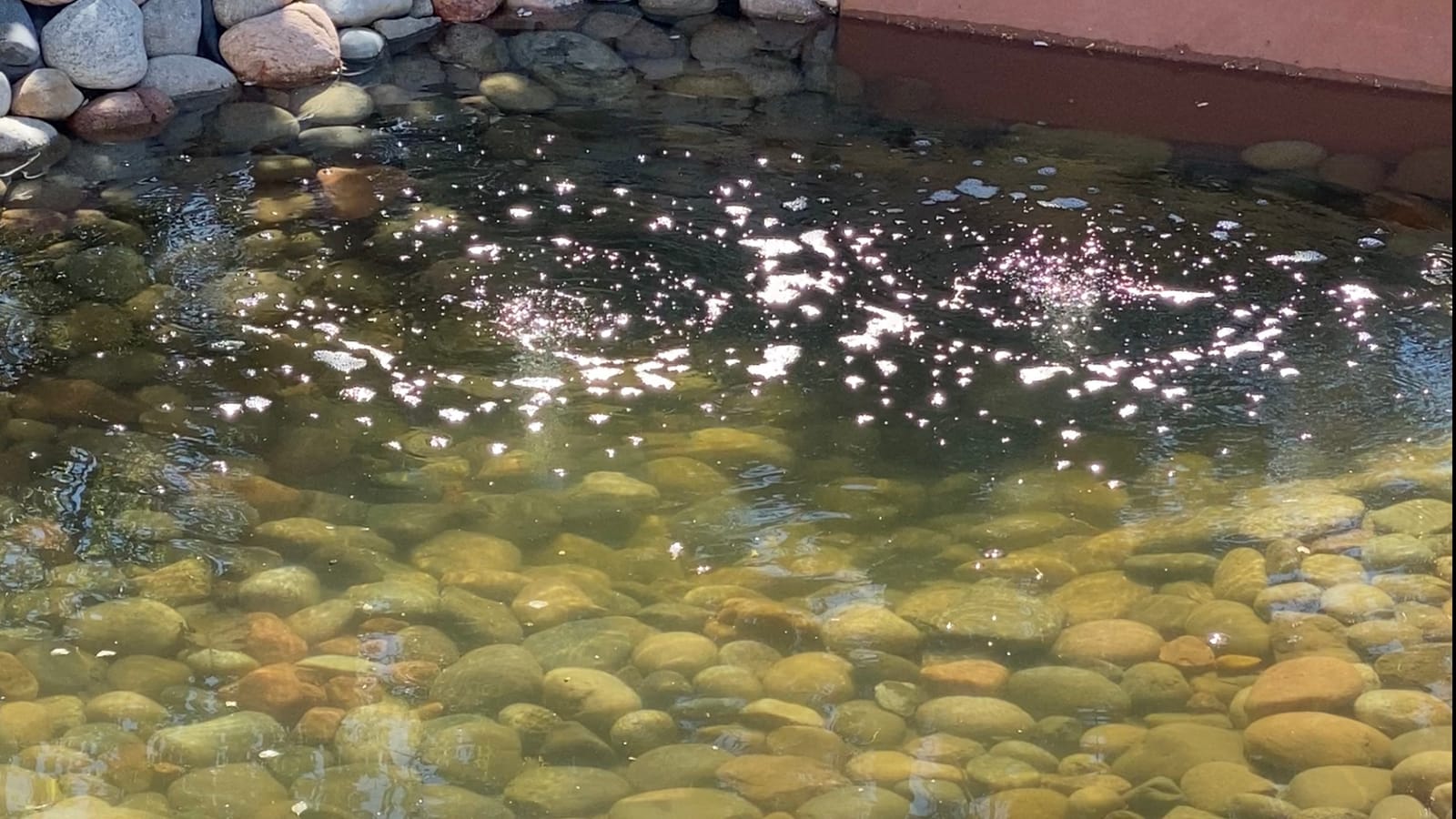 CrystalClear PondAir 2 Complete Aeration Kit, Koi & Fish Ponds Bubbler customer photo 2