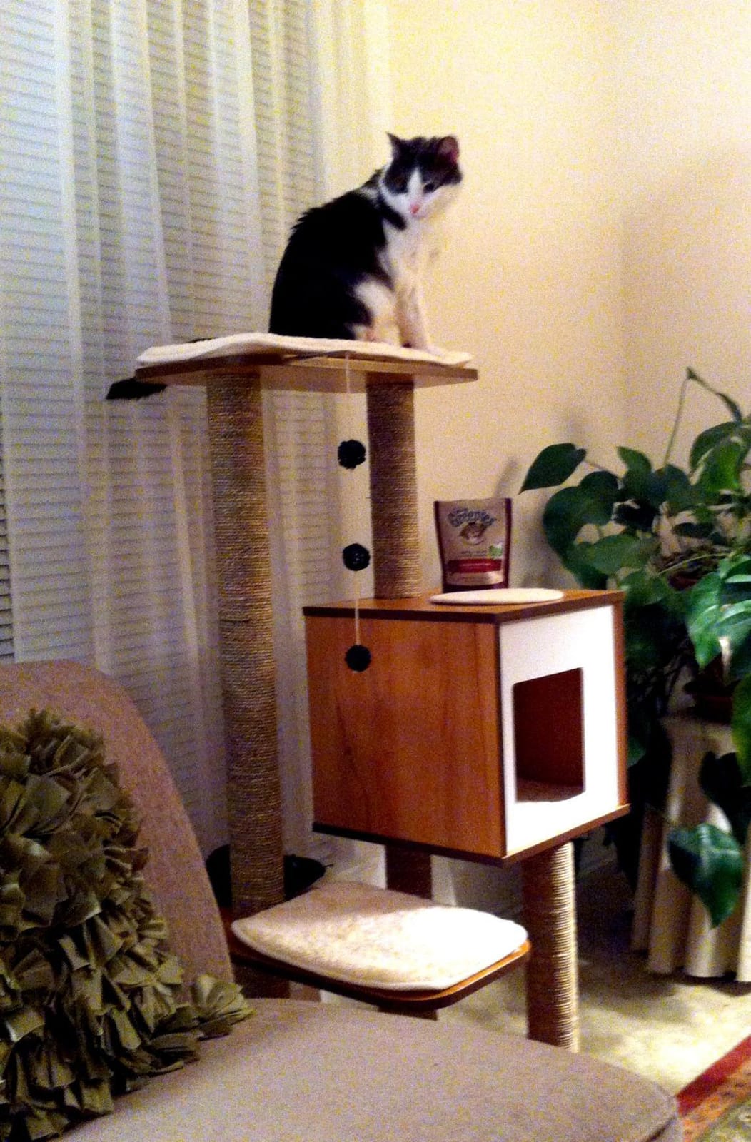 Vesper Cat Tree, High Base, Walnut, 52045 customer photo 2