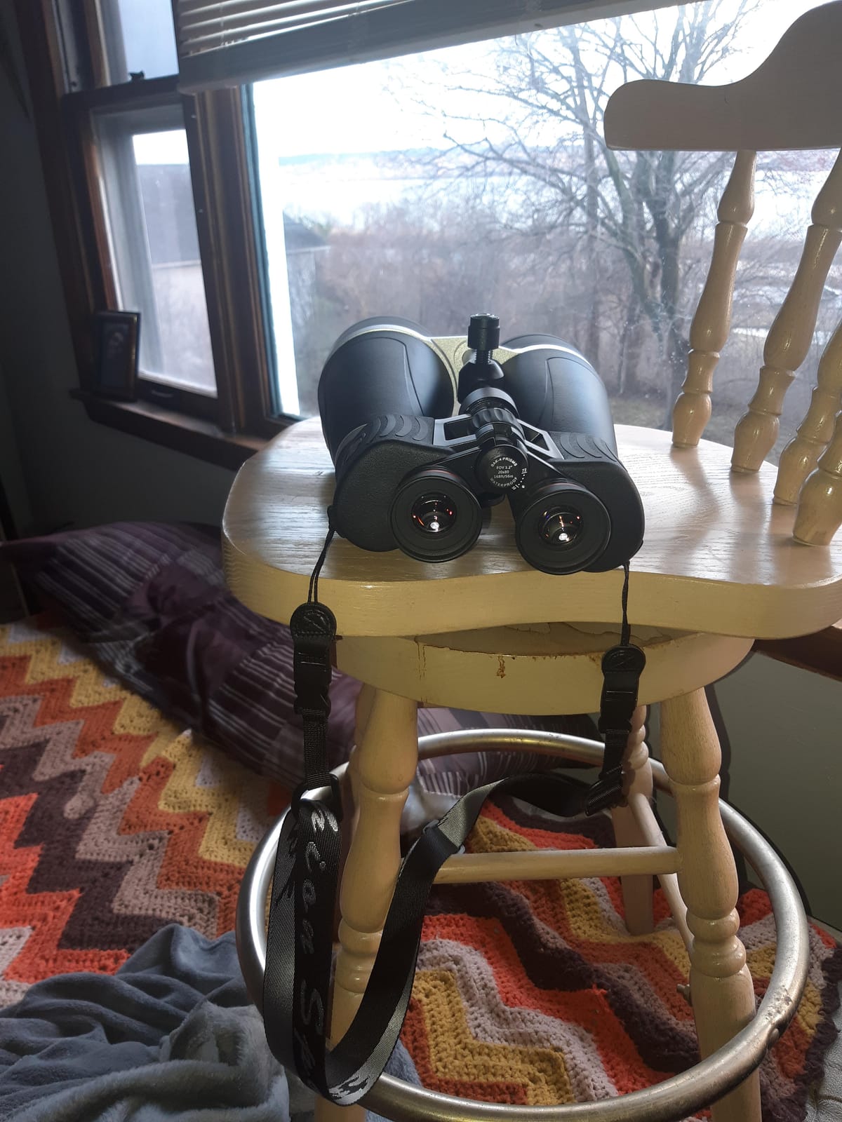 Celestron SkyMaster Pro 20x80 Astronomy Binoculars for Long-Range Viewing | XLT Fully Multi-Coated Optics, Waterproof & Fogproof, Tripod Adapter Included customer photo 1