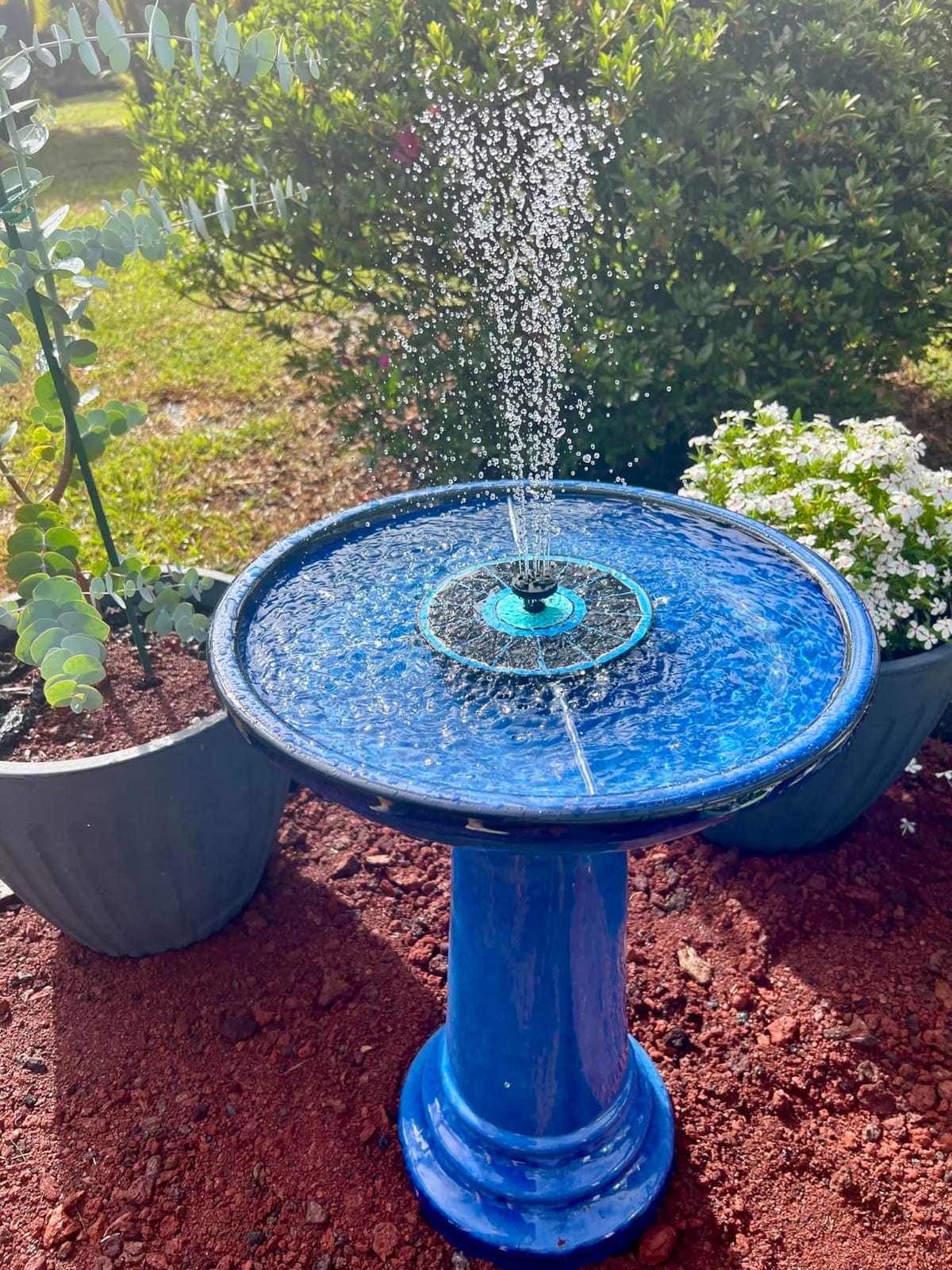Smart Solar Aviatra Outdoor Ceramic Birdbath with Pedestal Stand and Glossy Finish, Elegant Traditional Birdbath for Garden, Blue customer photo 1