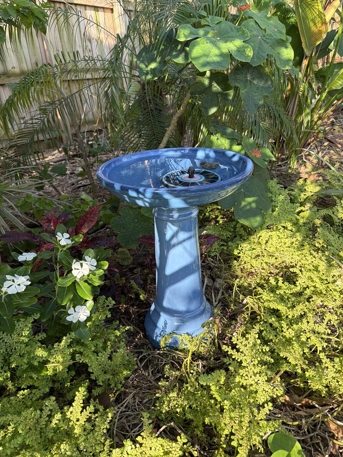 Smart Solar Aviatra Outdoor Ceramic Birdbath with Pedestal Stand and Glossy Finish, Elegant Traditional Birdbath for Garden, Blue customer photo 2