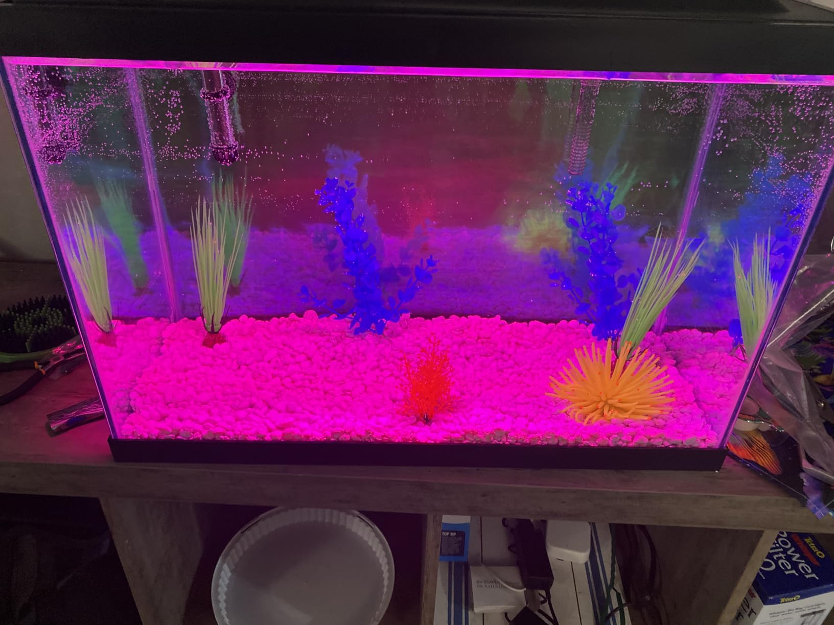 Tetra 20 Gallon Complete Tropical Fish Tank Kit customer photo 2