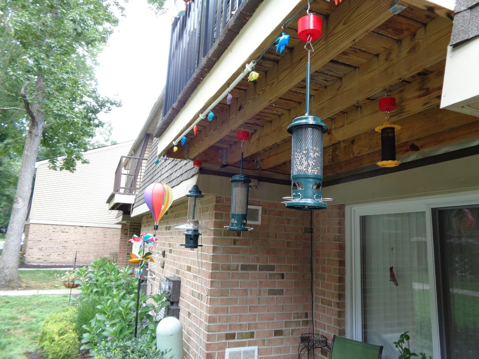 Squirrel Buster Legacy Squirrel-Proof Bird Feeder for Wild Birds - 4 Metal Removable Perches, 2.6 lb Seed Capacity, Chew-Proof Design, Easy to Clean, Green customer photo 2