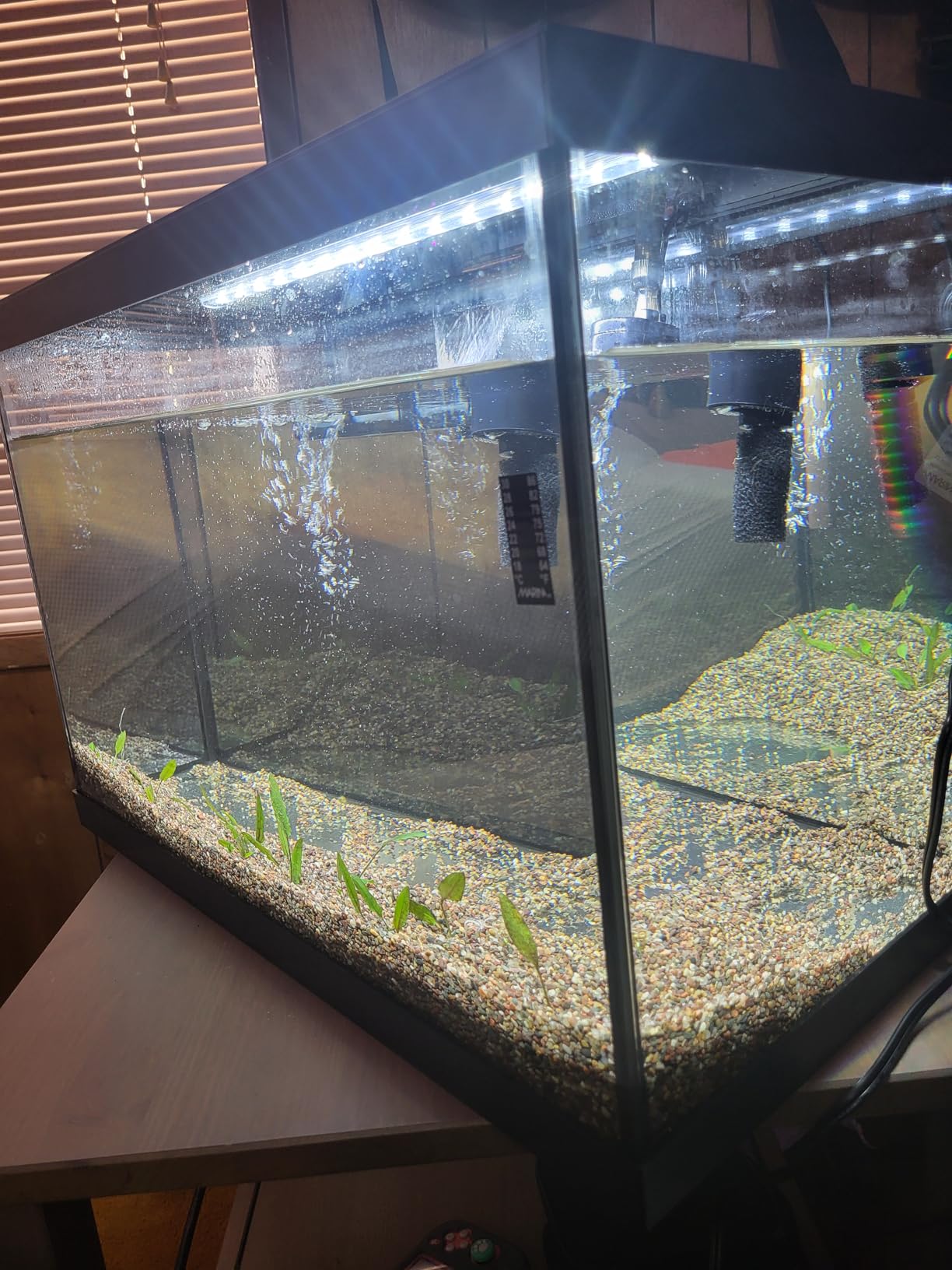 Marina 20 Gallon LED Aquarium Kit with Filter, Lighting & Accessories | Complete Fish Tank Setup customer photo 1