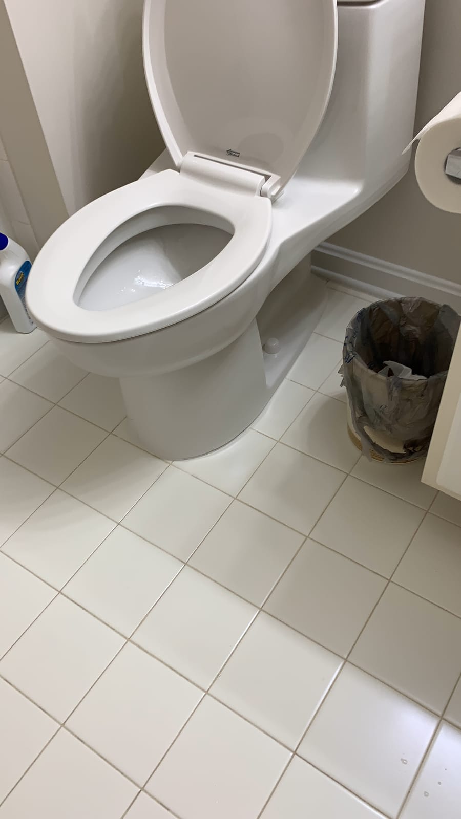 American Standard Champion 4 One Piece Elongated Toilet, 1.6 GPF, White | One Piece Toilet: Right Height Chair Height Bowl, Large Clog-Free 4 In Flush Valve, Slow Close Seat Included | 2034314.020 customer photo 1