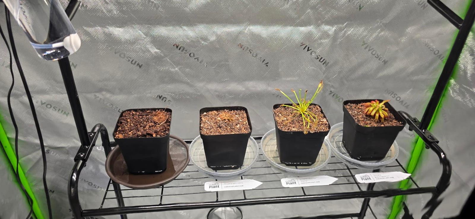 VIVOSUN S848 4x8 Grow Tent 96