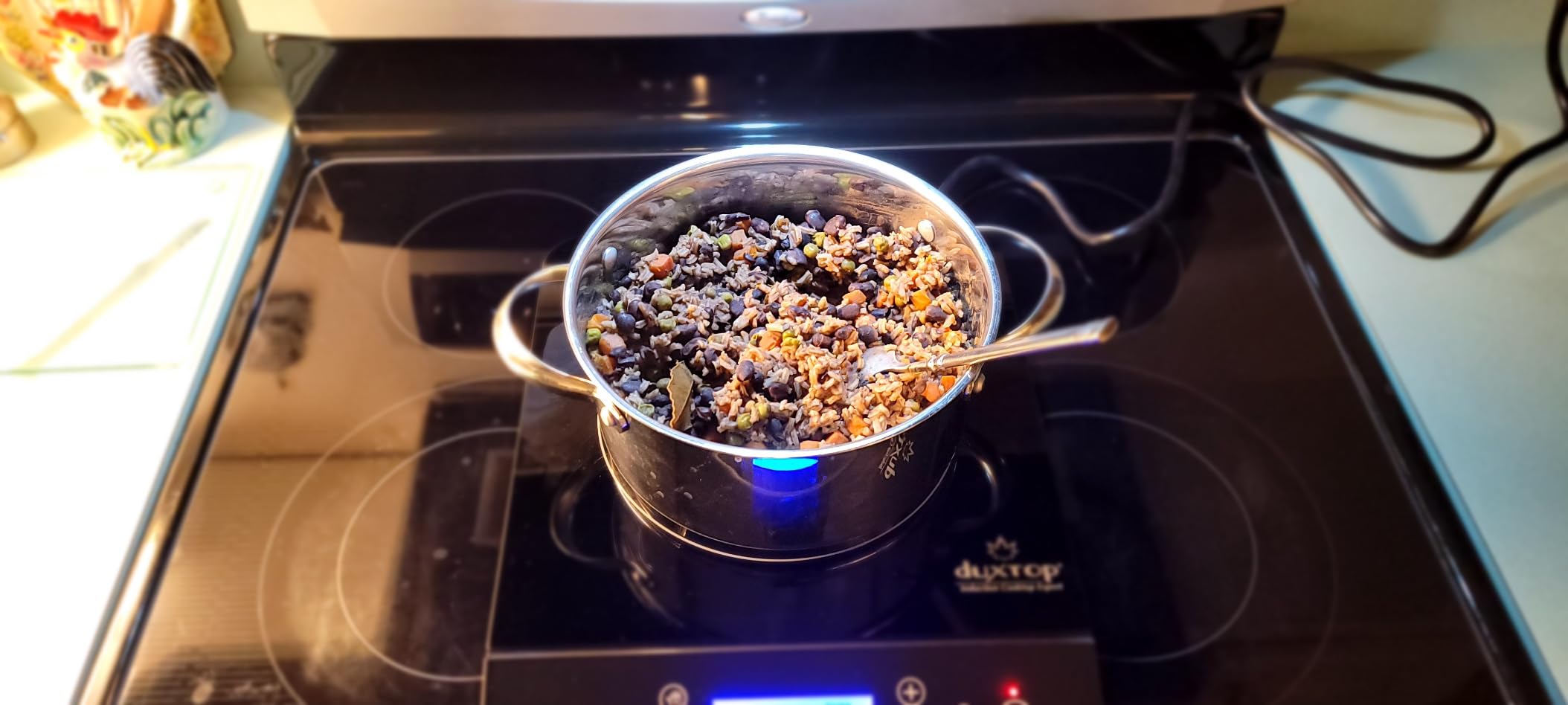 Duxtop Portable Induction Cooktop, Countertop Burner 1800W Silver 9600LS | Induction Hot Plate with LCD Sensor Touch BT-200DZ customer photo 1