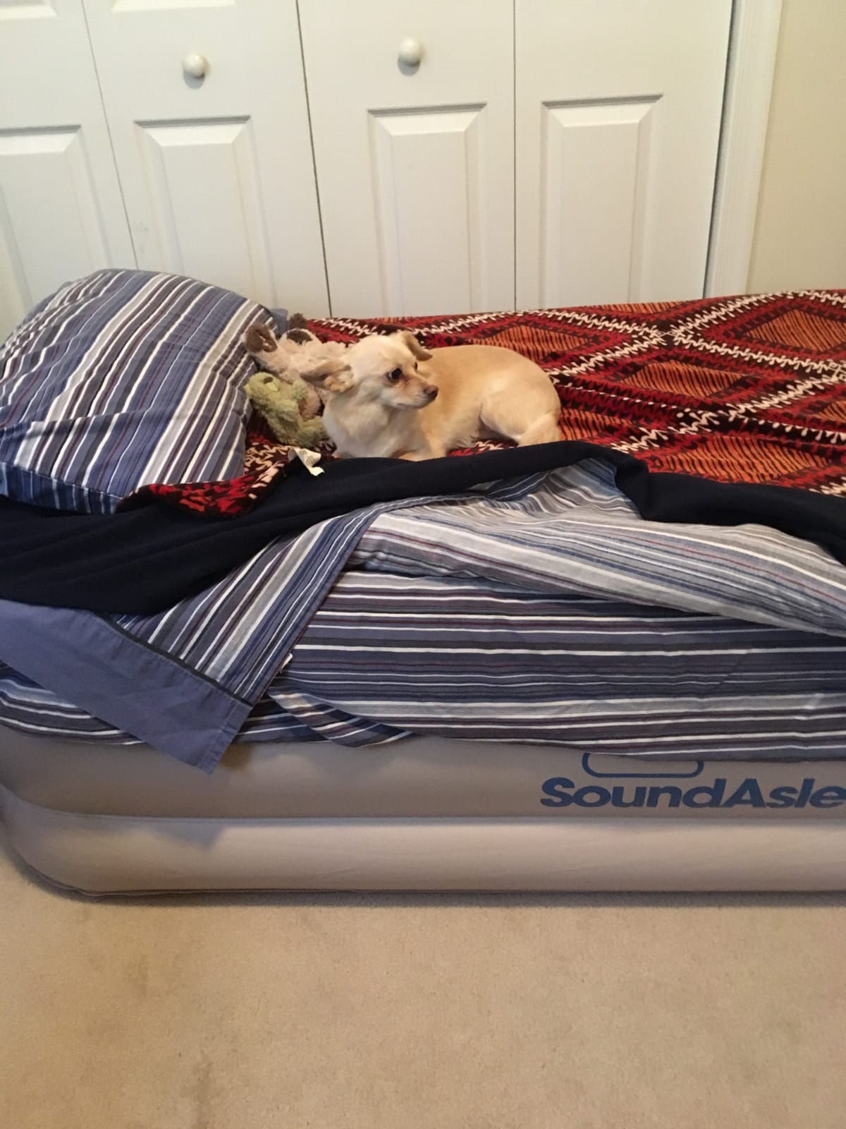 SoundAsleep CloudNine Series Raised Queen Air Mattress with Dual Smart Pump | Dual smart pumps maintain firmness all night with 3 settings; SureGrip bottom helps create a stable guest bed for two adults customer photo 2