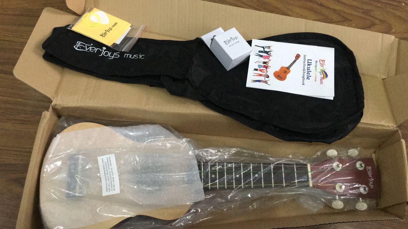 Everjoys Soprano Ukulele Beginner Kit 21 Inch w/Free Online Lesson Gig Bag Tuner Picks Strap, Fast to Learn (Rainbow String) customer photo 1