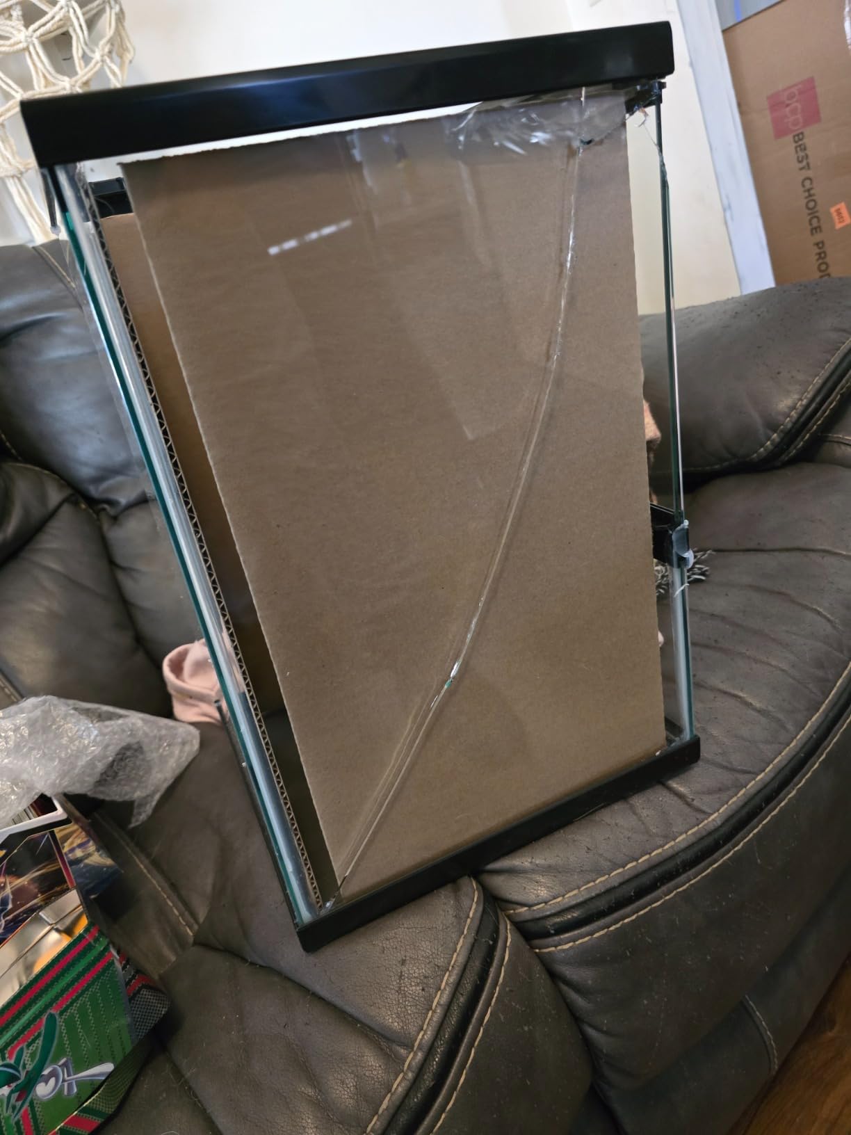 Zilla 11 Gallon Glass Tropical Vertical Terrarium Kit with Front-Opening Door and Hinged Screen Top customer photo 2