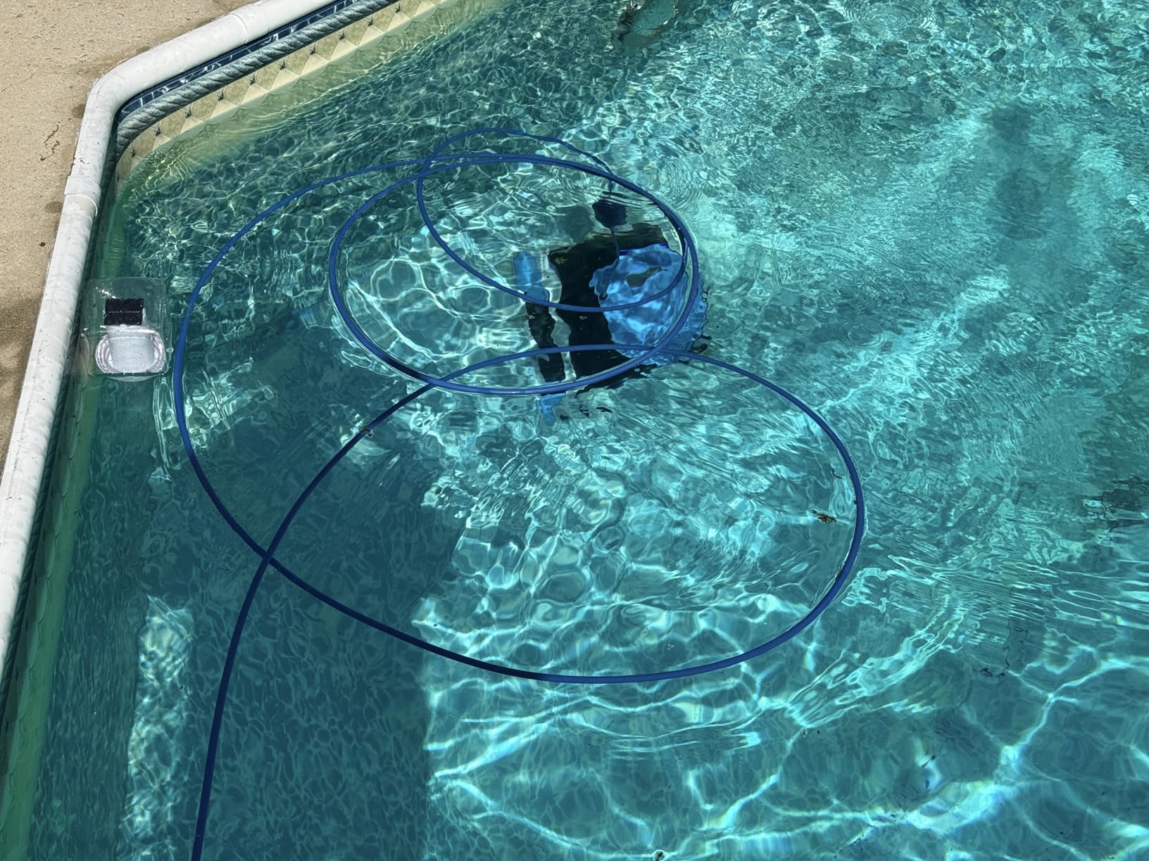 Dolphin Nautilus CC Automatic Robotic Pool Vacuum Cleaner, Wall Climbing Scrubber Brush, Top Load Filter Access, Ideal for Above/In-Ground Pools up to 33 FT in Length customer photo 2