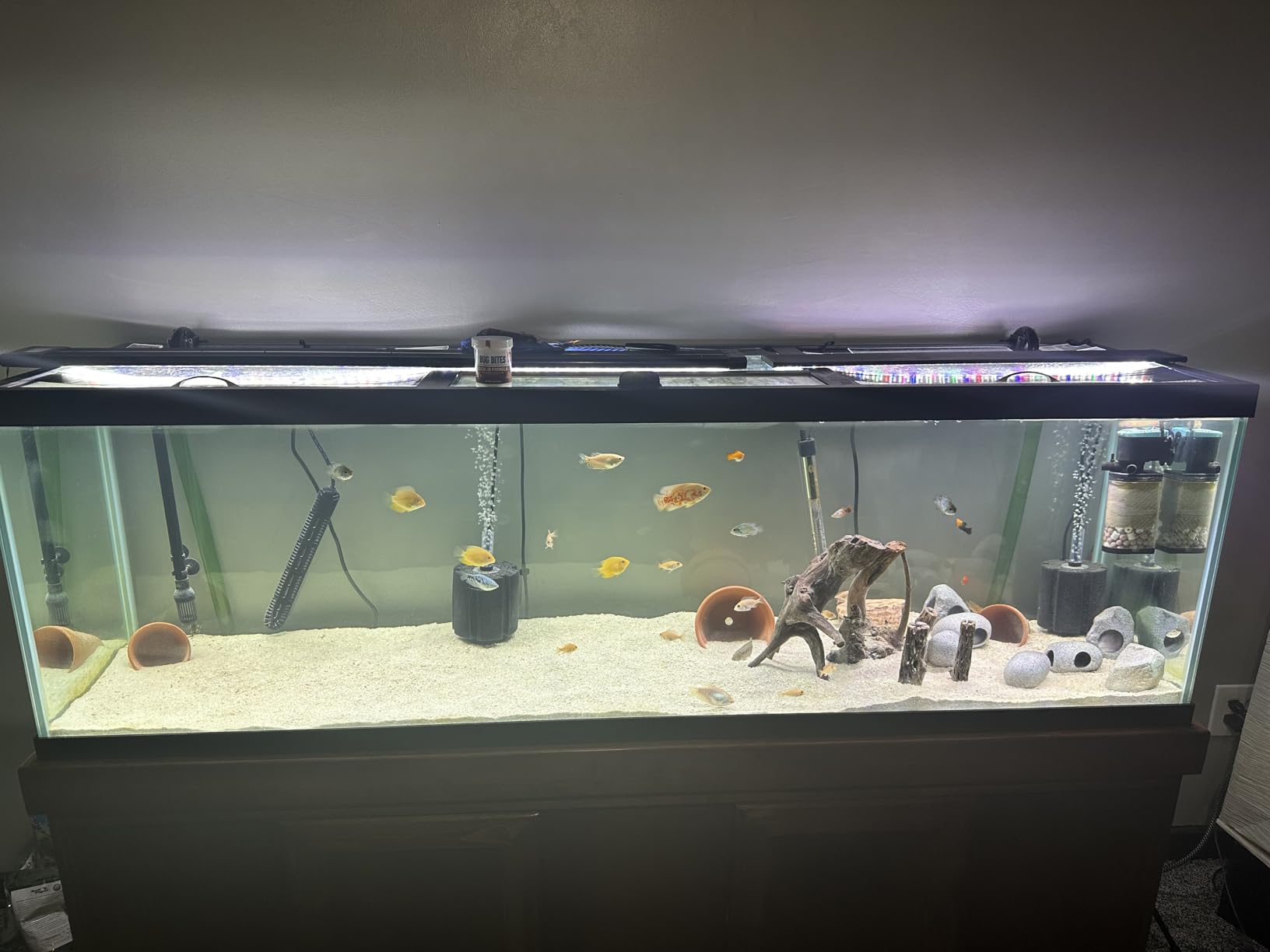 AQUANEAT Aquarium Bio Sponge Filter Breeding Fry Betta Shrimp Nano Fish Tank (Large up to 60Gal) customer photo 2