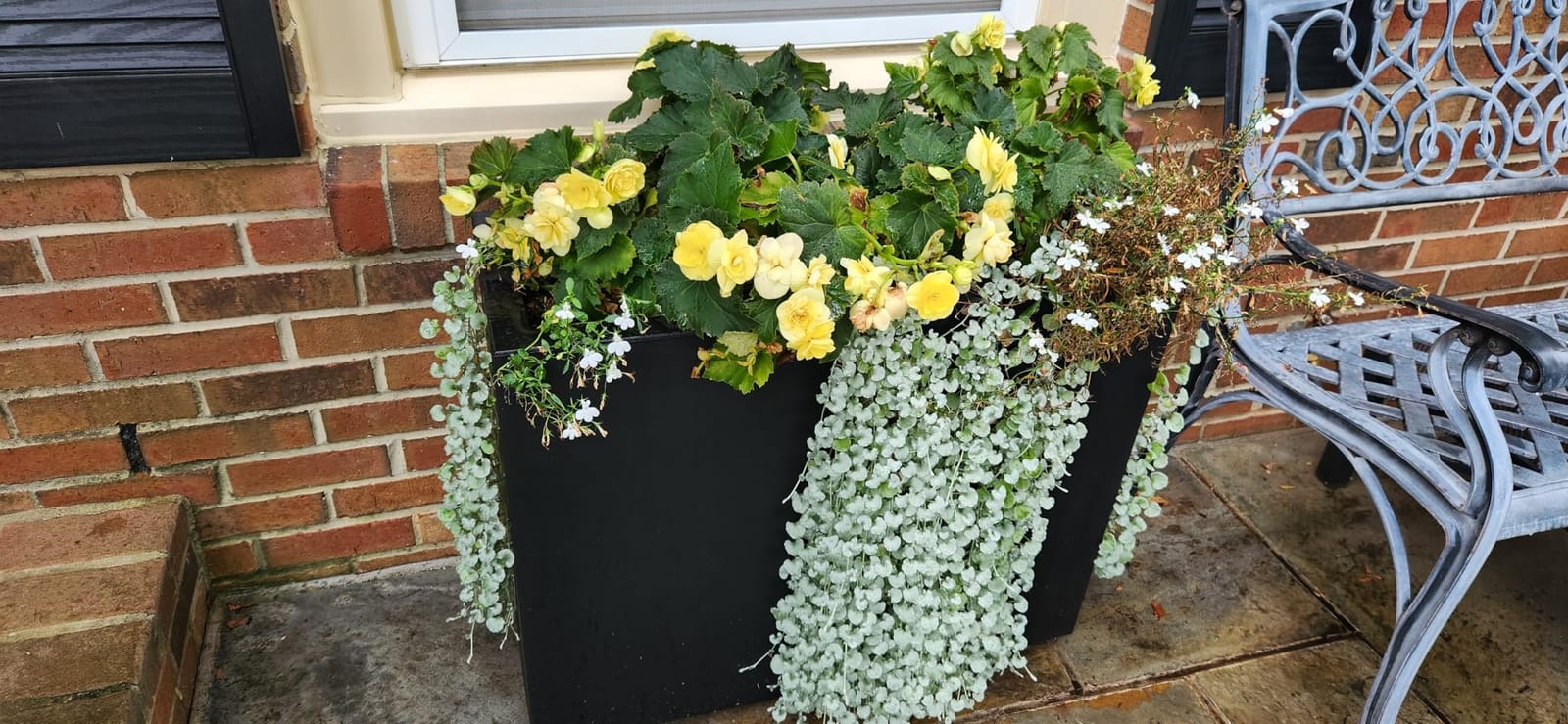 Veradek Block Series Span Planter - Tall Rectangular Outdoor Planter customer photo 1