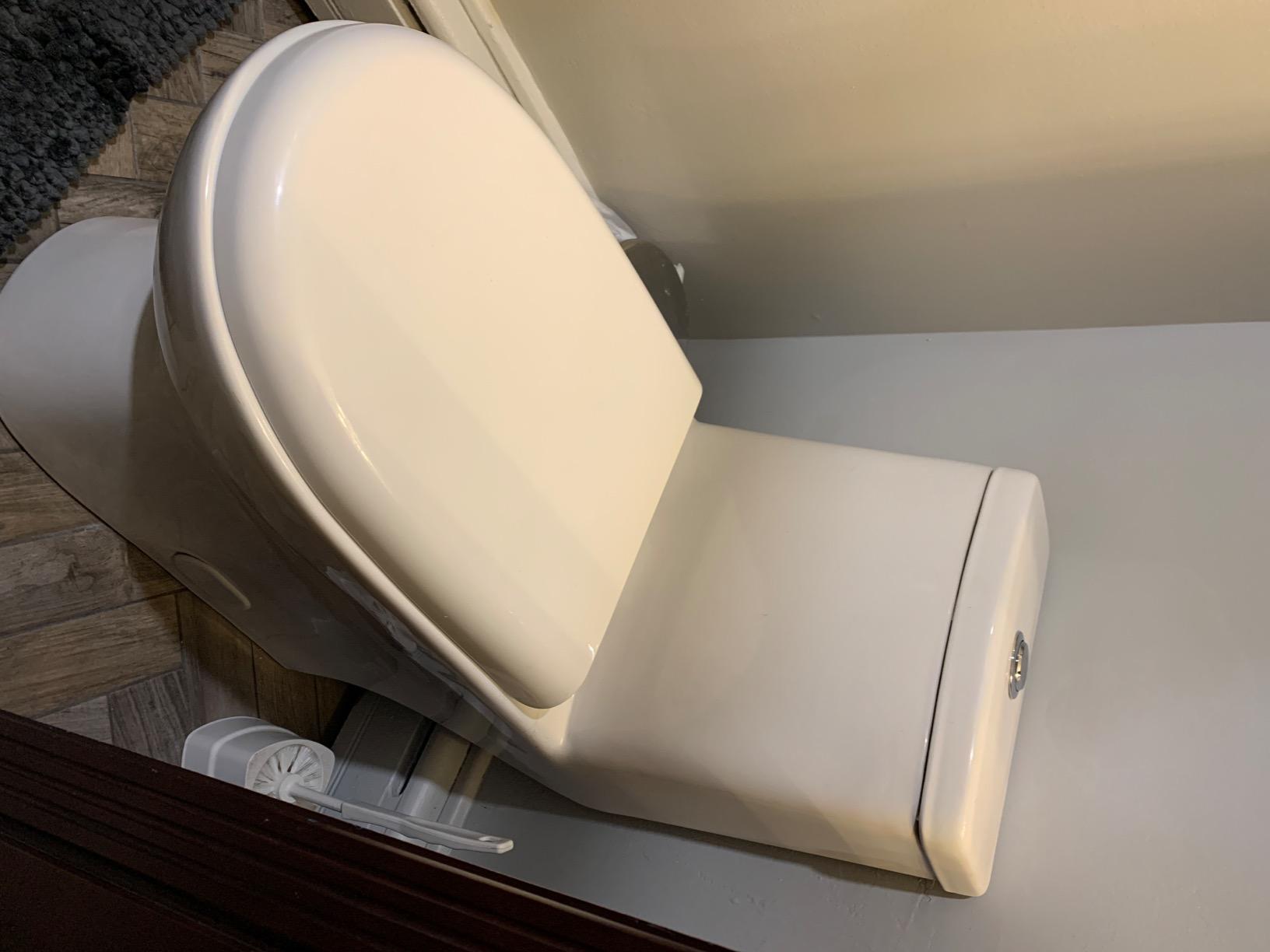 SM-1T112 Ivy One Piece Toilet Dual Flush customer photo 2