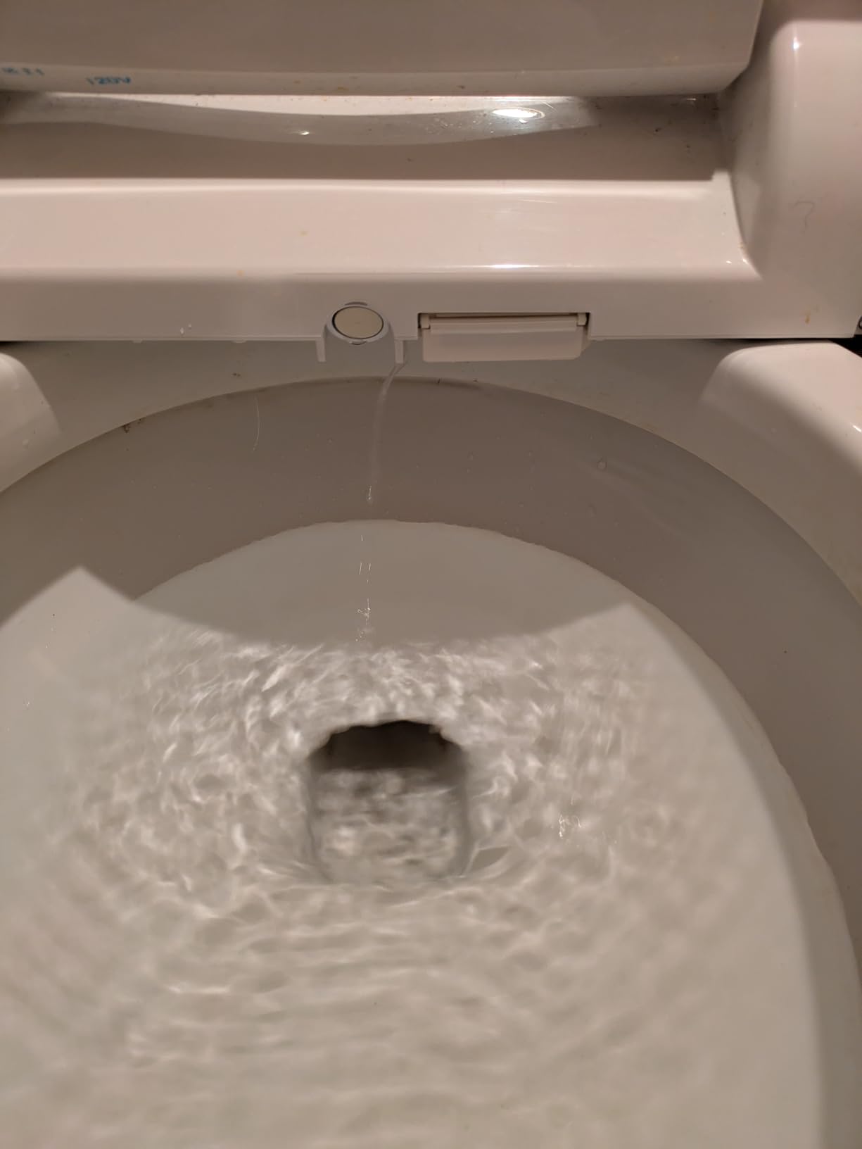 Brondell SE400-EW Swash SE400 Electric Bidet Toilet Seat With Heated Seat, Oscillating Stainless Steel Nozzle, Warm Air Dryer, Night Light, Gentle Close Lid, White Side Arm Control, Elongated customer photo 1
