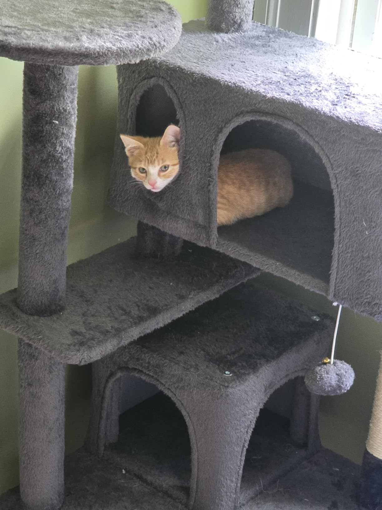 Yaheetech 54in Cat Tree Tower, 2 Caves, Kitten-Ear Perch & Scratching Posts | Multi-level layout, climbing ladder, easy assembly, high pet appeal, total load 66lbs for all indoor cats, dark gray customer photo 1
