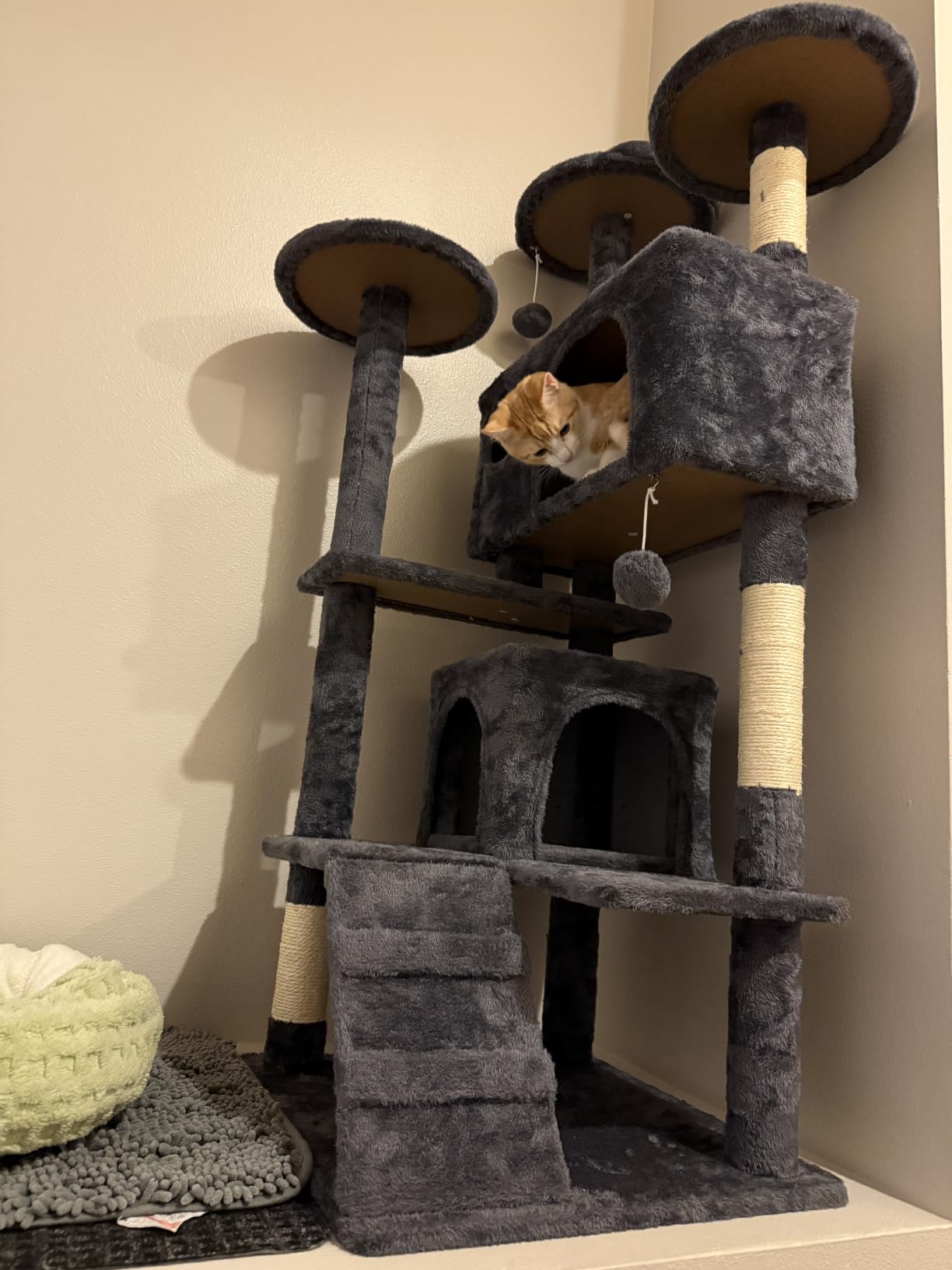 Yaheetech 54in Cat Tree Tower, 2 Caves, Kitten-Ear Perch & Scratching Posts | Multi-level layout, climbing ladder, easy assembly, high pet appeal, total load 66lbs for all indoor cats, dark gray customer photo 2