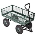 FDW | Heavy Duty Garden Cart with Wheels | Green | 500lbs Capacity | Corrosion Resistant Utility Cart with Adjustable Side Frames, Rotating handle & All-Terrain Wheels | For Lawn, Yard, Outdoor customer photo 1