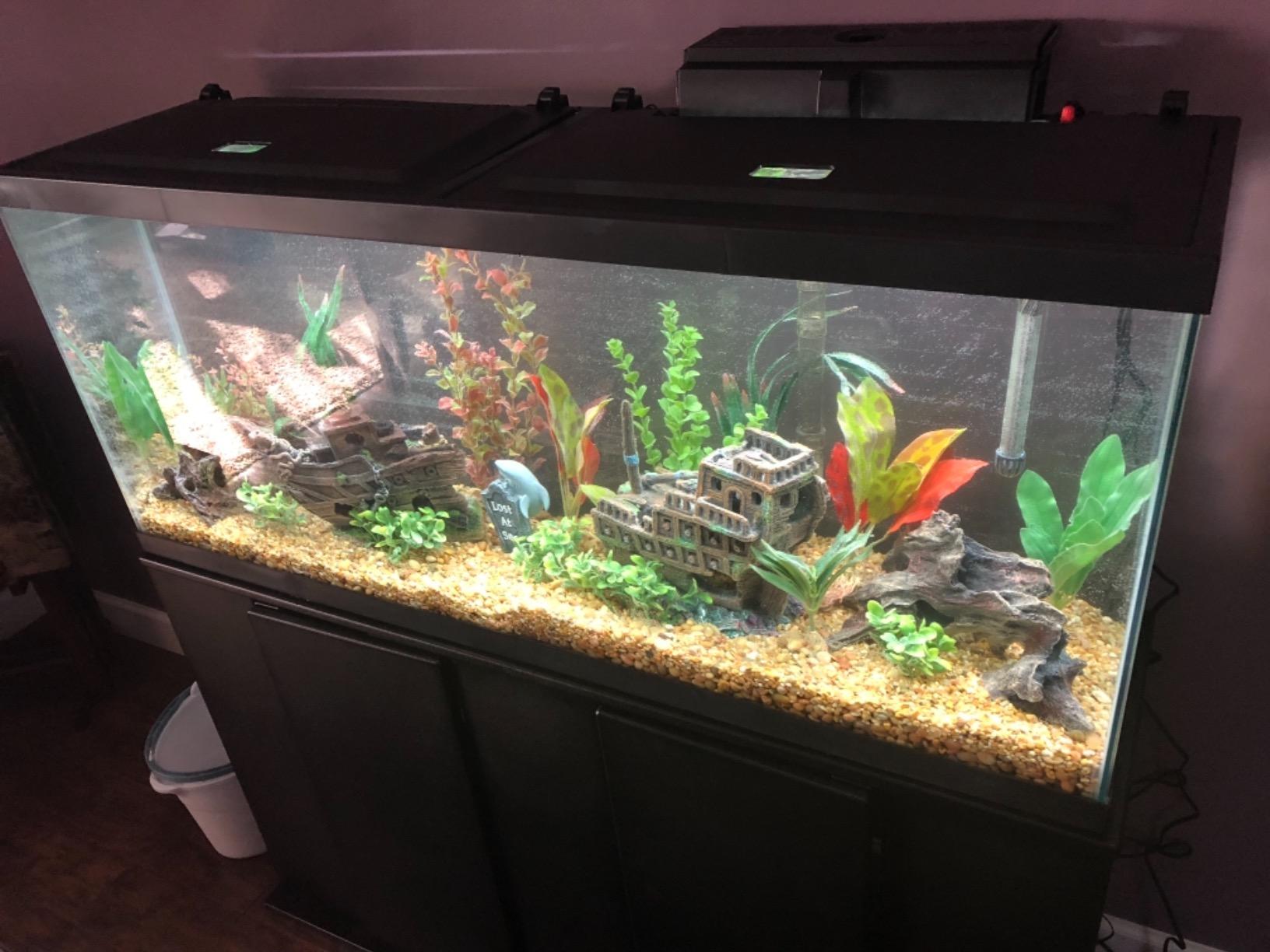 Tetra LED 55 Gallon Complete Fish Tank Kit for Freshwater Fish customer photo 1