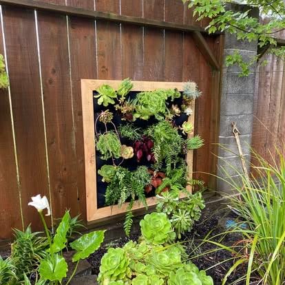 Ogrmar 36 Pockets Wall Planter Breathable Vertical Garden Planter Grow Bag | Plant Wall Hanging Pockets for herbs, flowers, vegetables & strawberries, Felt fabric, easy hanging for indoor and outdoor use customer photo 1