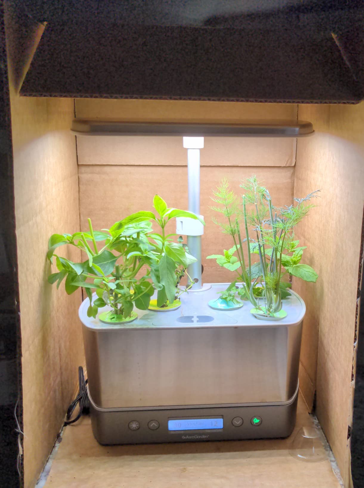 AeroGarden Harvest Elite, Stainless Steel | Indoor Garden with LED Grow Light and Seed Pod Kit customer photo 1