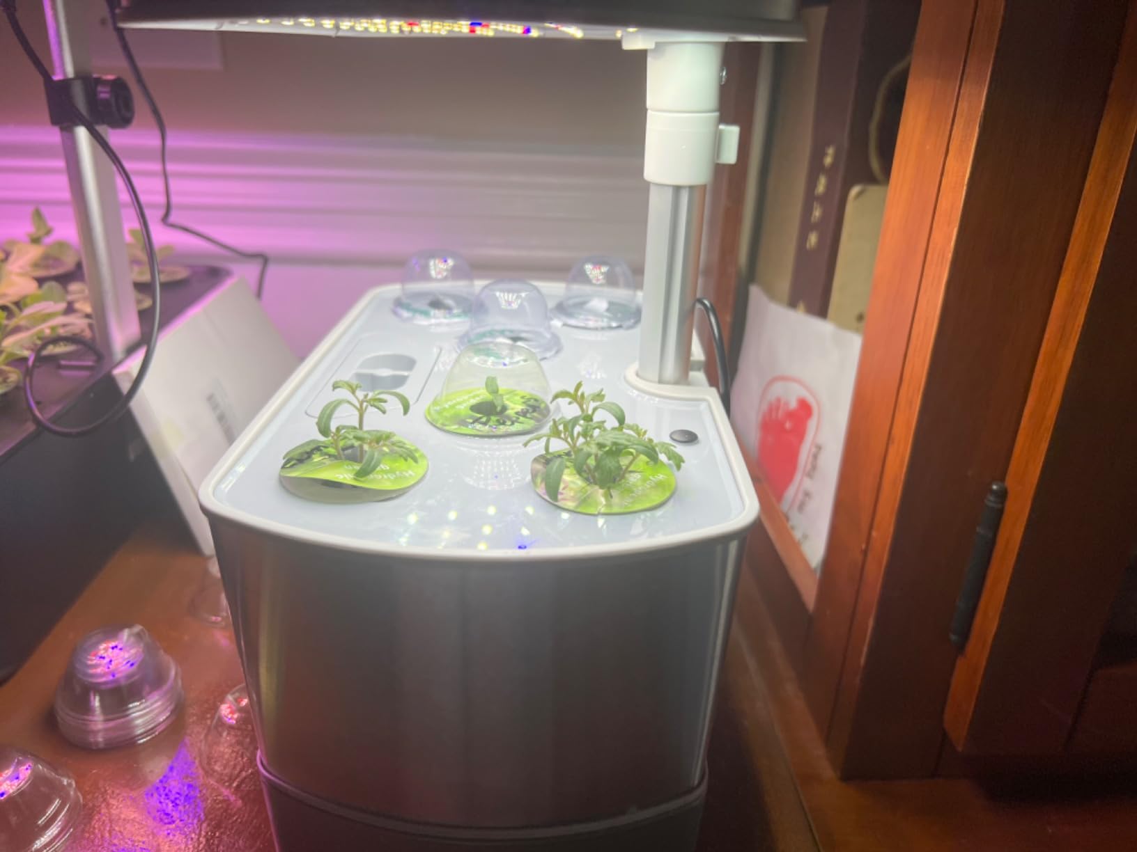 AeroGarden Harvest Elite, Stainless Steel | Indoor Garden with LED Grow Light and Seed Pod Kit customer photo 2