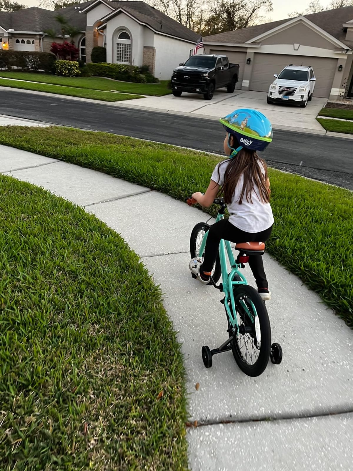 JOYSTAR Kids Bike for Ages 2-12 Years Boys Girls BMX Style Bicycle | 12-20 Inch Kids Bike with Training Wheels, Children Bicycle for Kids & Toddler customer photo 2