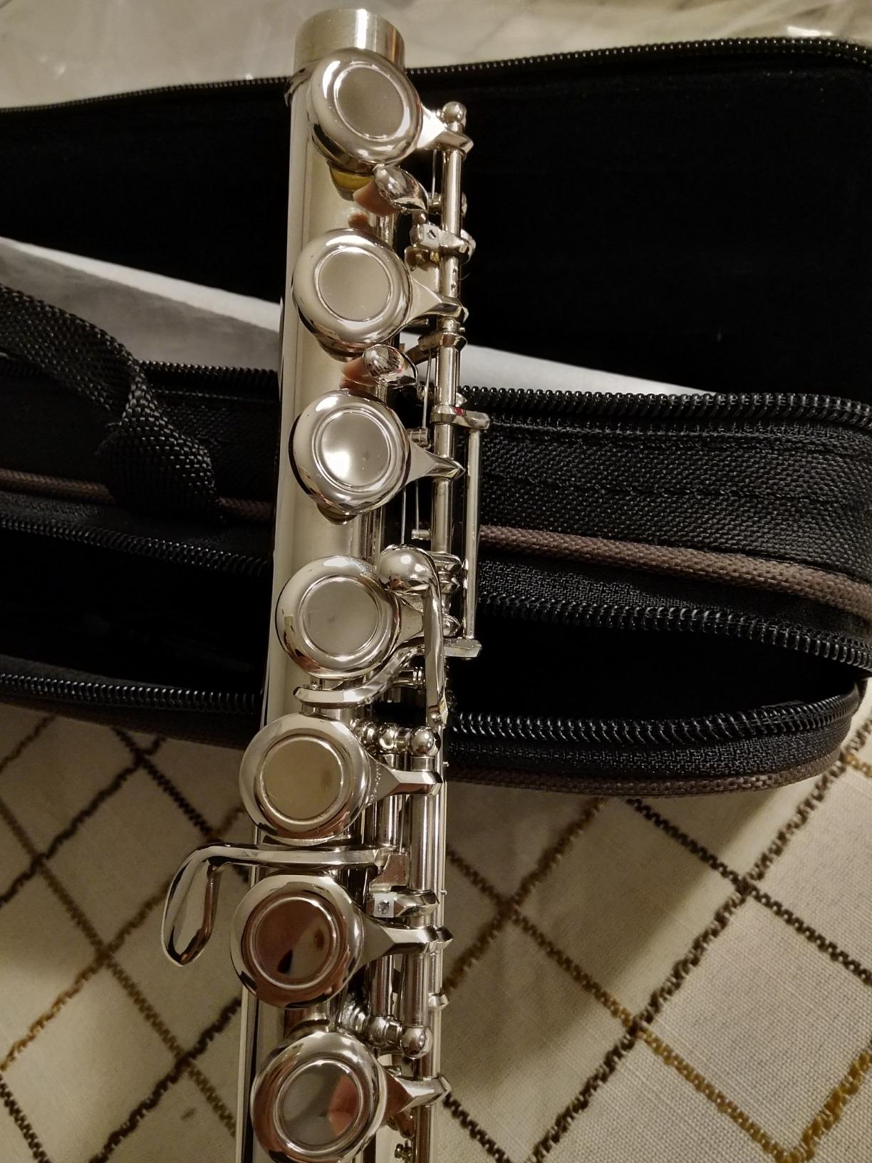 Eastar 16-Key Open Hole C Flute Kids Beginner, Silver Full Kit, EFL-2 customer photo 1