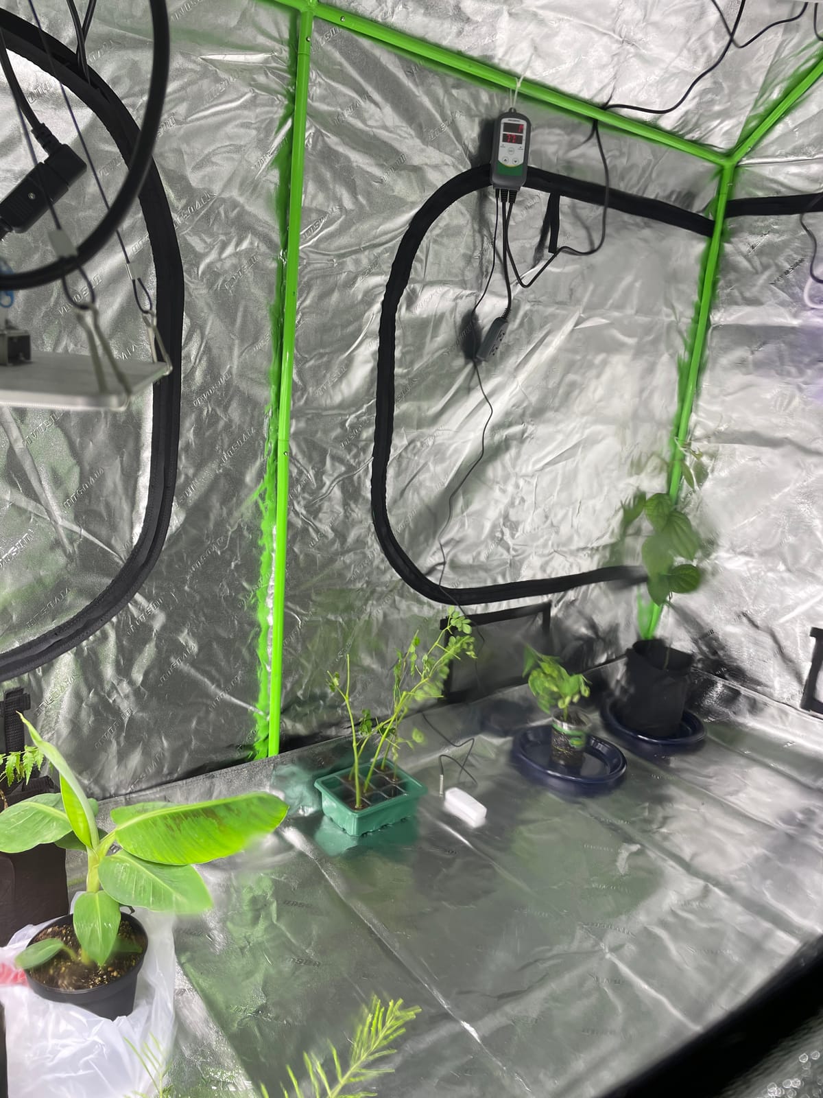 VIVOSUN 4x5 Grow Tent 60