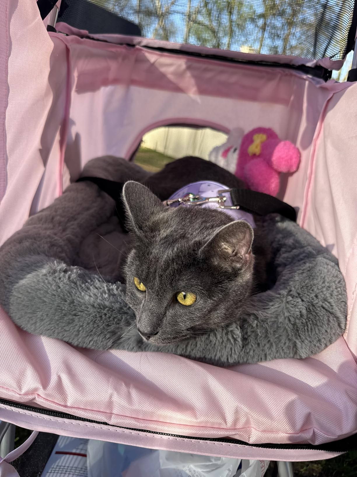 TRIXIE Foldable Pet Stroller for Cats and Dogs, Pet Carrier Strolling Cart with Weather Cover, Storage Basket, Cup Holder, Black | Lightweight, Compact and Portable, Easy to Travel customer photo 1