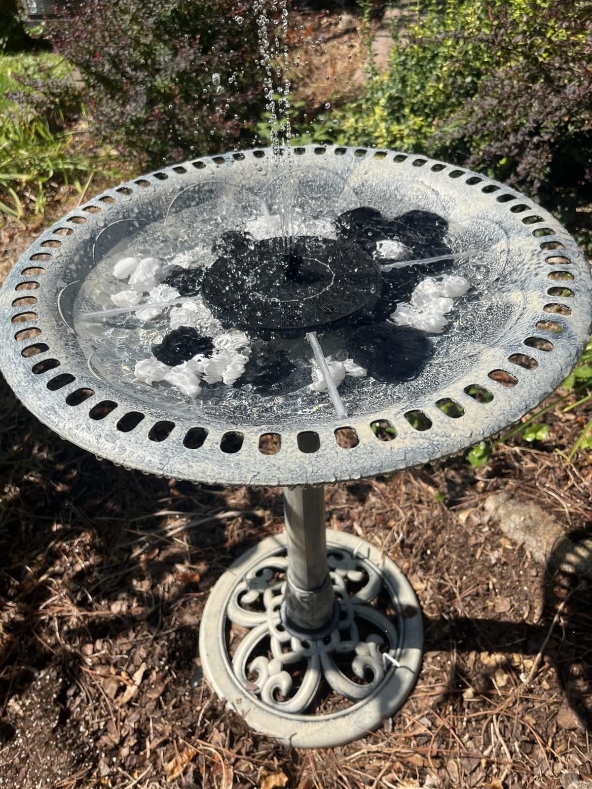 VIVOHOME Bird Bath with Solar Fountain for Outside, Pedestal, Green | Solar-Powered Pump, Weather-Resistant Polyresin, 20-Inch Bowl, for Outdoor/Garden, Bird-Friendly, Easy to Clean customer photo 1