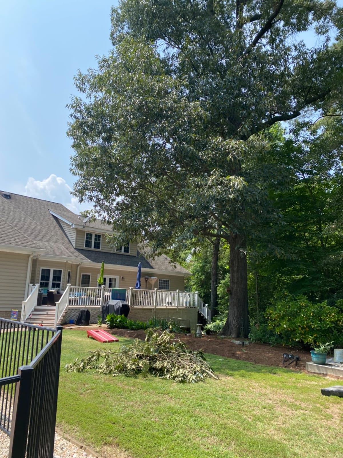 CRAFTSMAN V20 Cordless Pole Saw, 14-Foot Reach, Battery and Charger Included (CMCCSP20M1) customer photo 2